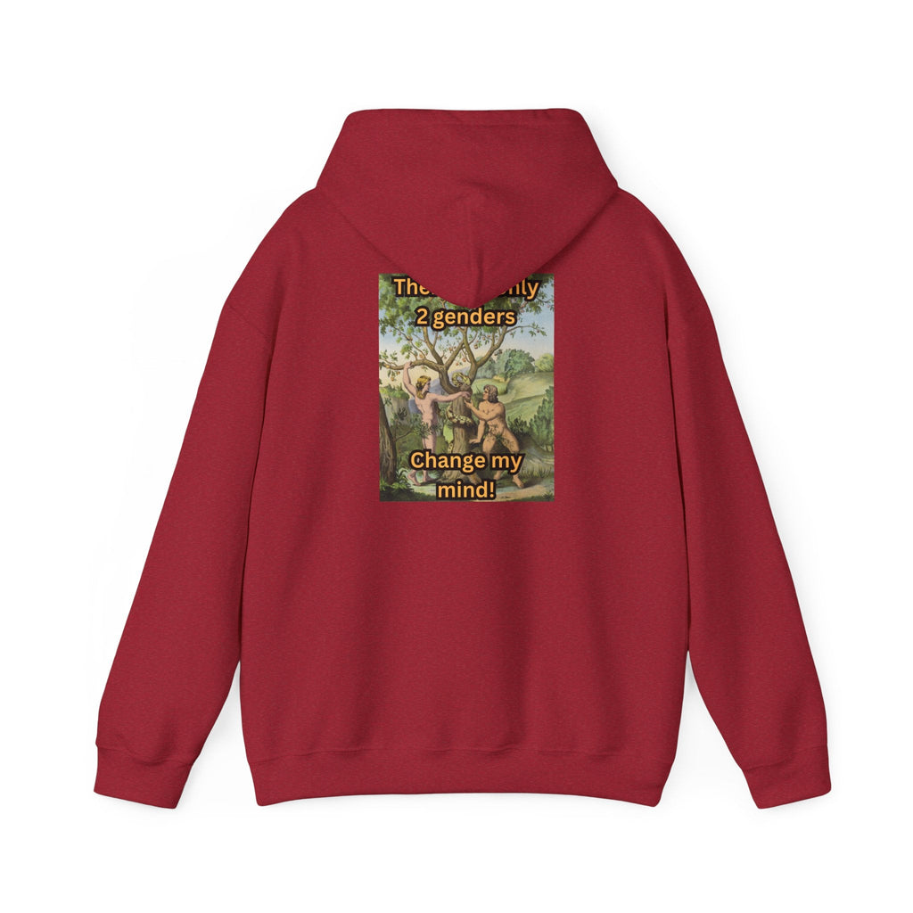 There Are Only 2 Genders Hoodie – Adam & Eve Cross Christian Hoodie for Bold Truth Printify