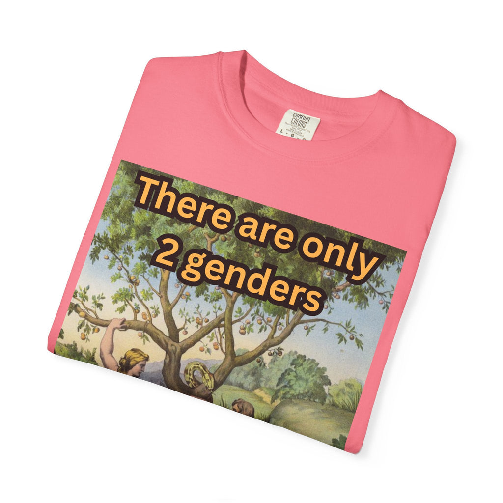 There Are Only 2 Genders T-Shirt – Adam & Eve Cross Christian Tee for Bold Faith Printify