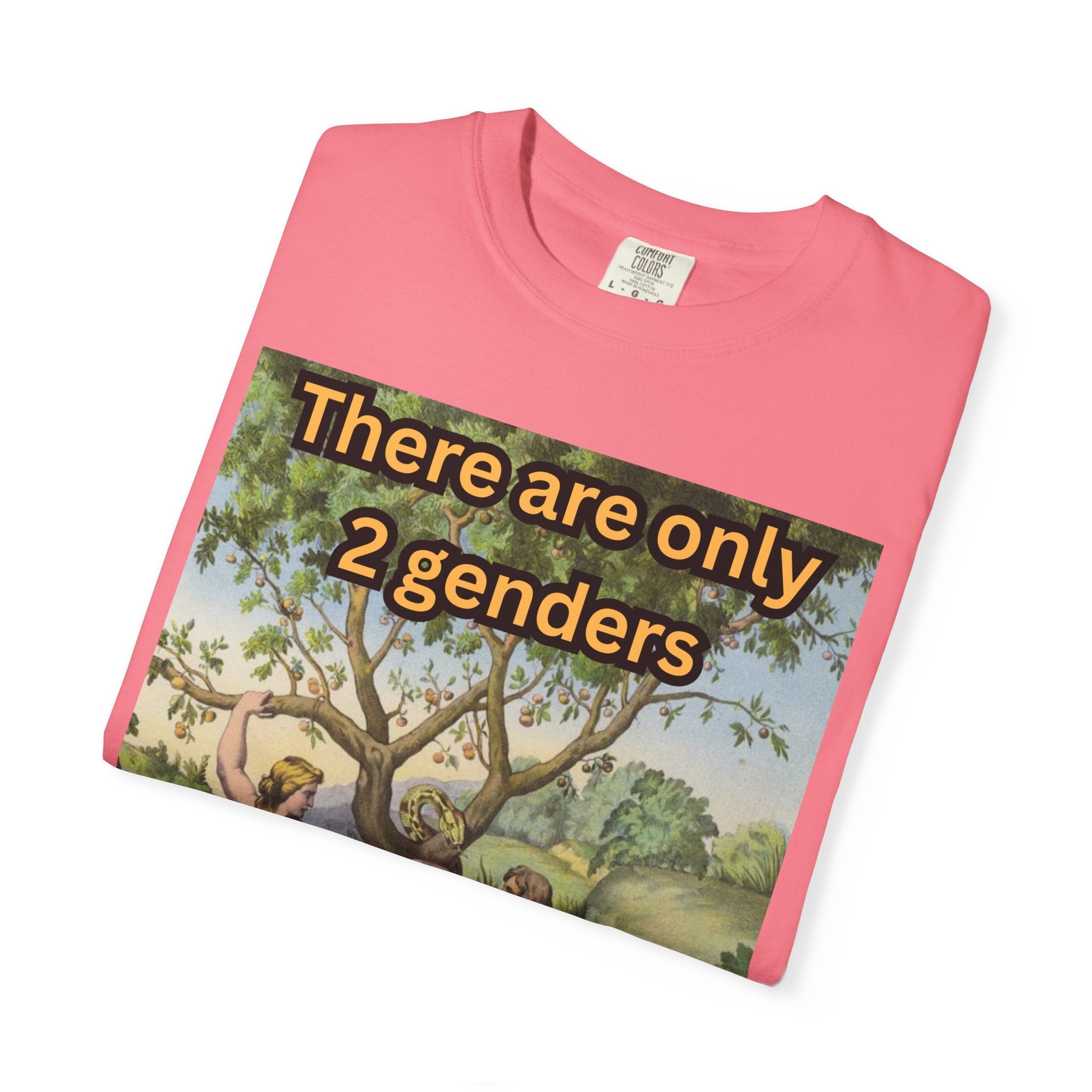 There Are Only 2 Genders T-Shirt – Adam & Eve Cross Christian Tee for Bold Faith Printify