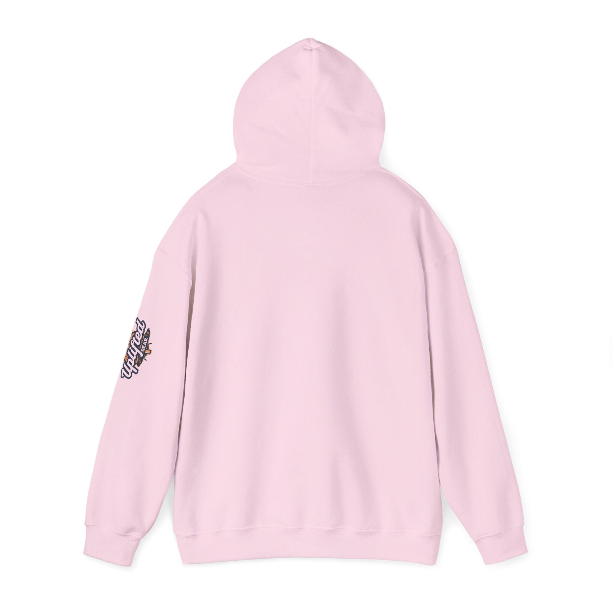 "No Balls in Women's Stalls" Statement Hoodie — Protest Sweatshirt Printify