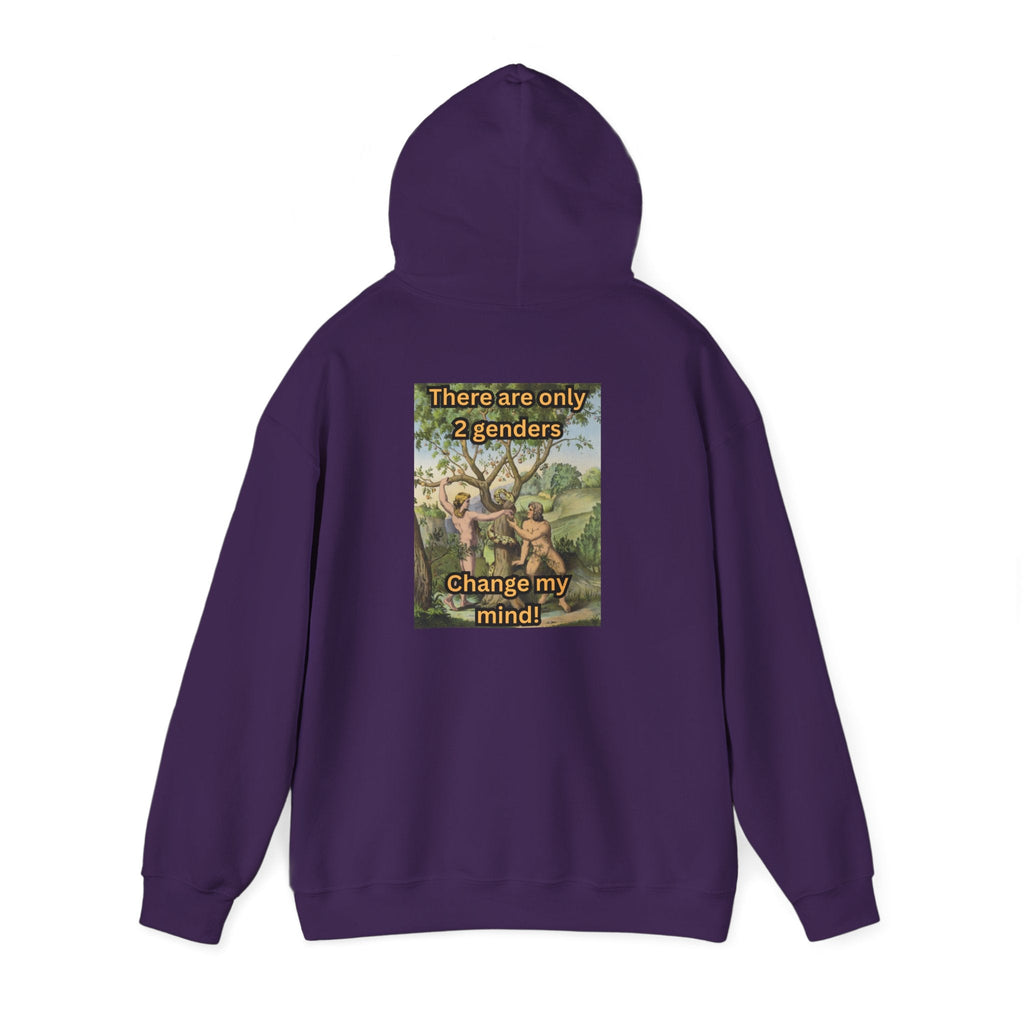 There Are Only 2 Genders Hoodie – Adam & Eve Cross Christian Hoodie for Bold Truth Printify