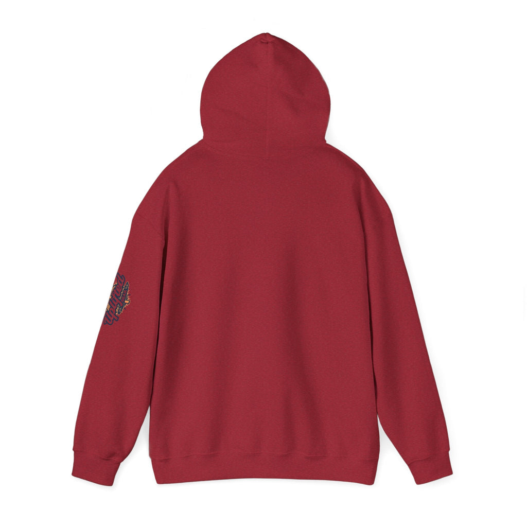 "No Balls in Women's Stalls" Statement Hoodie — Protest Sweatshirt Printify