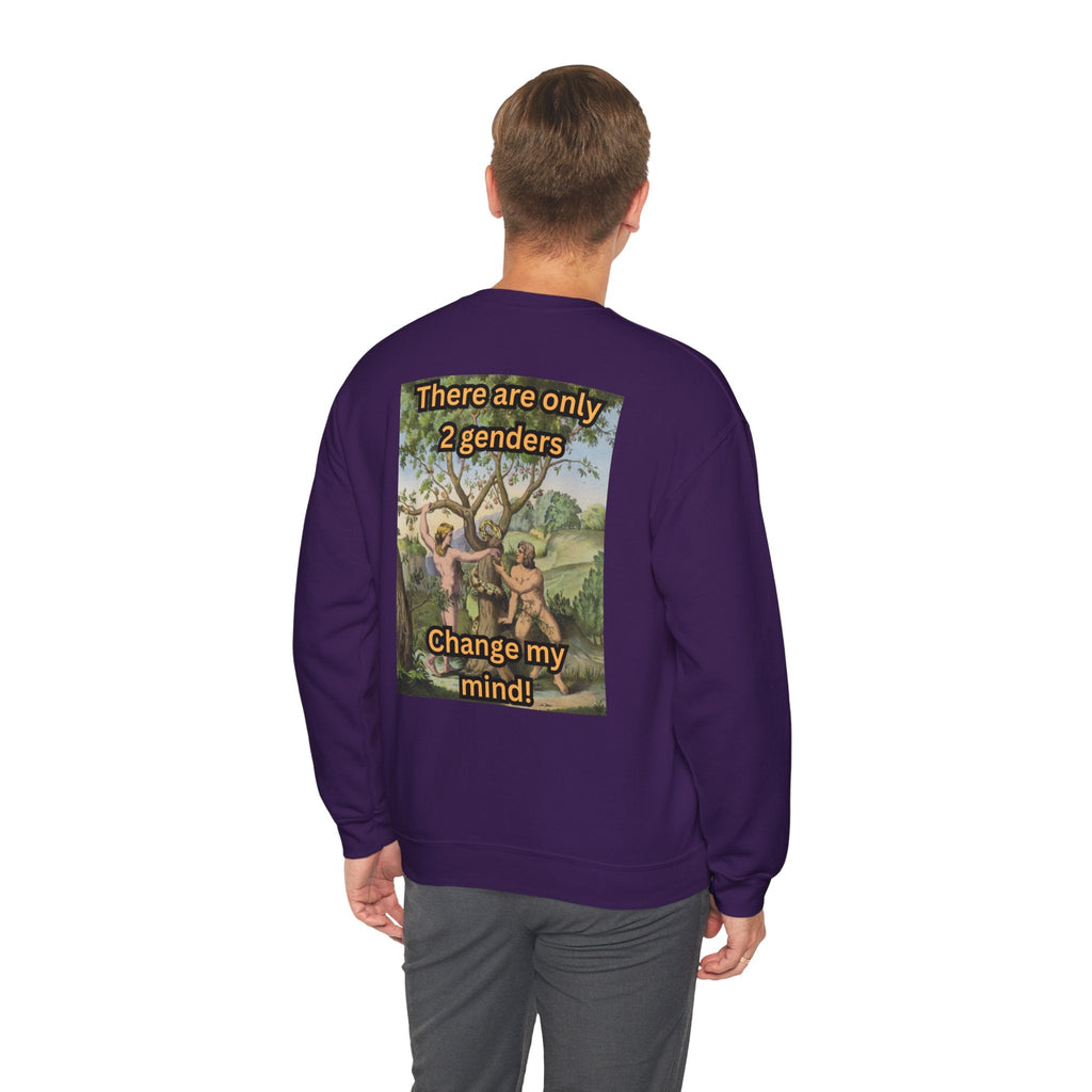 There Are Only 2 Genders Sweatshirt – Adam & Eve Cross Christian Hoodie for Bold Truth Printify