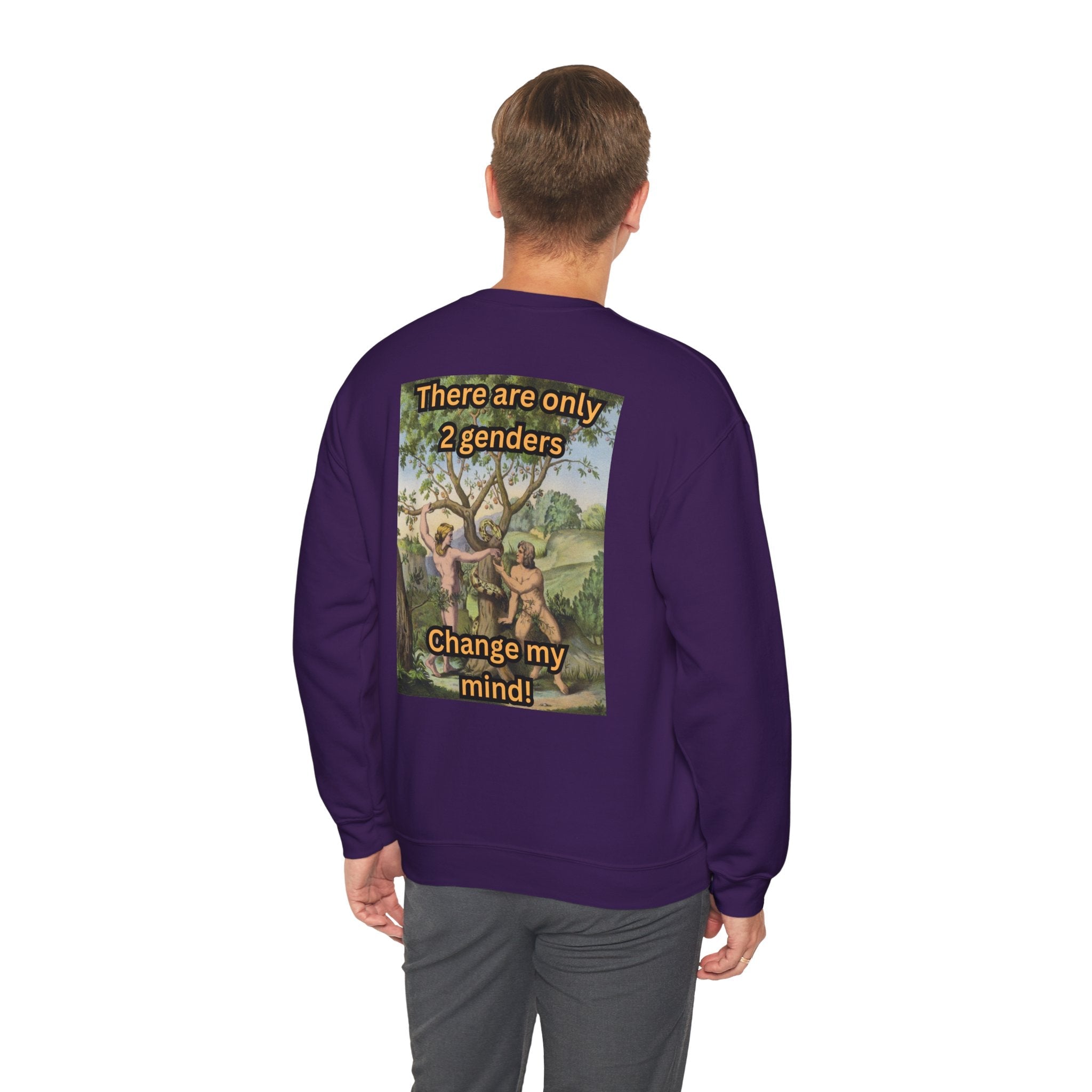 There Are Only 2 Genders Sweatshirt – Adam & Eve Cross Christian Hoodie for Bold Truth Printify