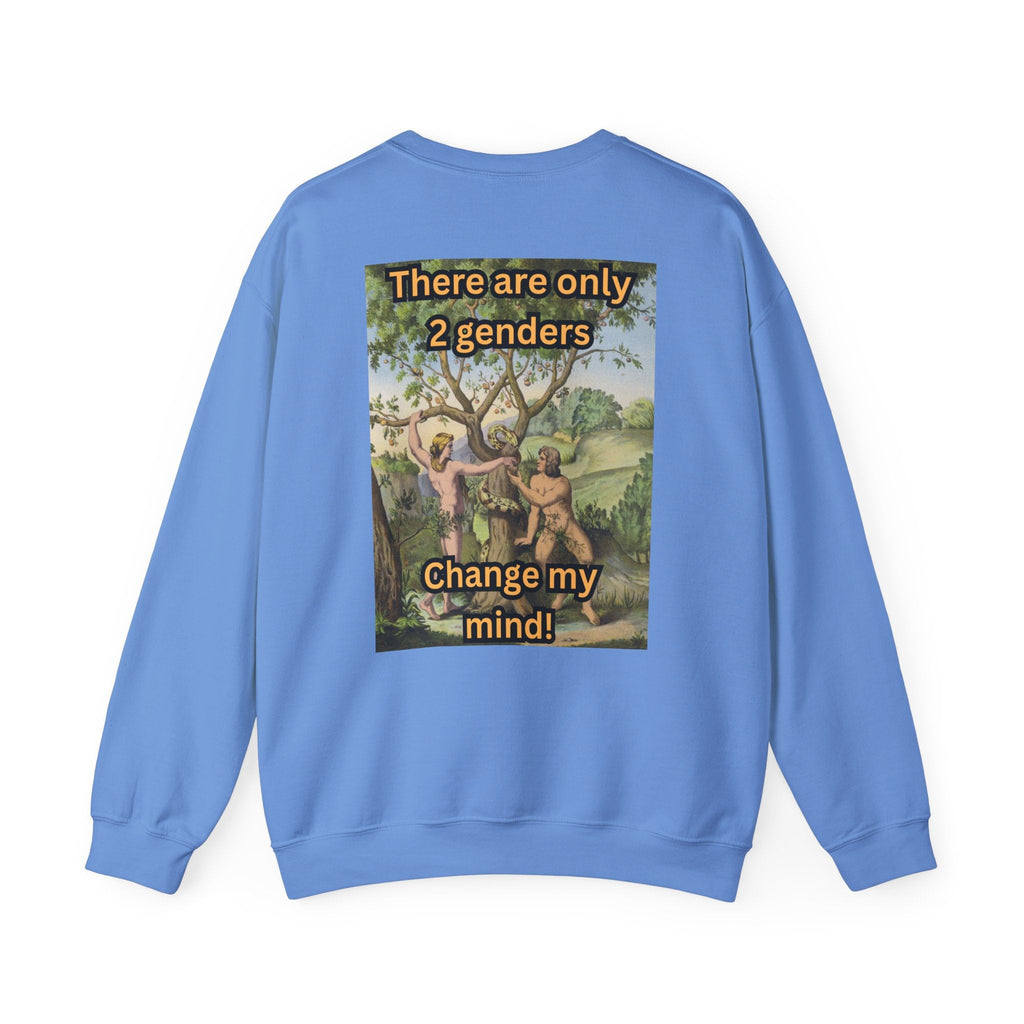 There Are Only 2 Genders Sweatshirt – Adam & Eve Cross Christian Hoodie for Bold Truth Printify