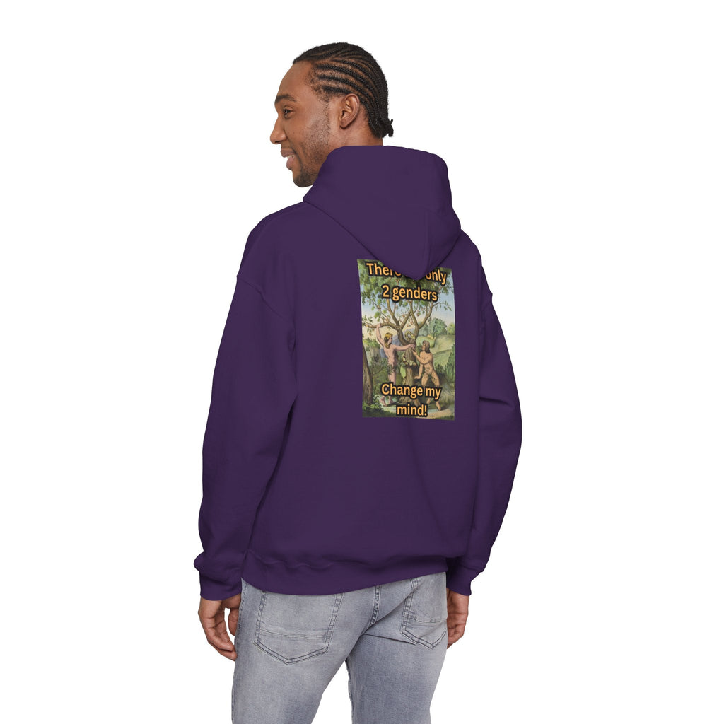 There Are Only 2 Genders Hoodie – Adam & Eve Cross Christian Hoodie for Bold Truth Printify