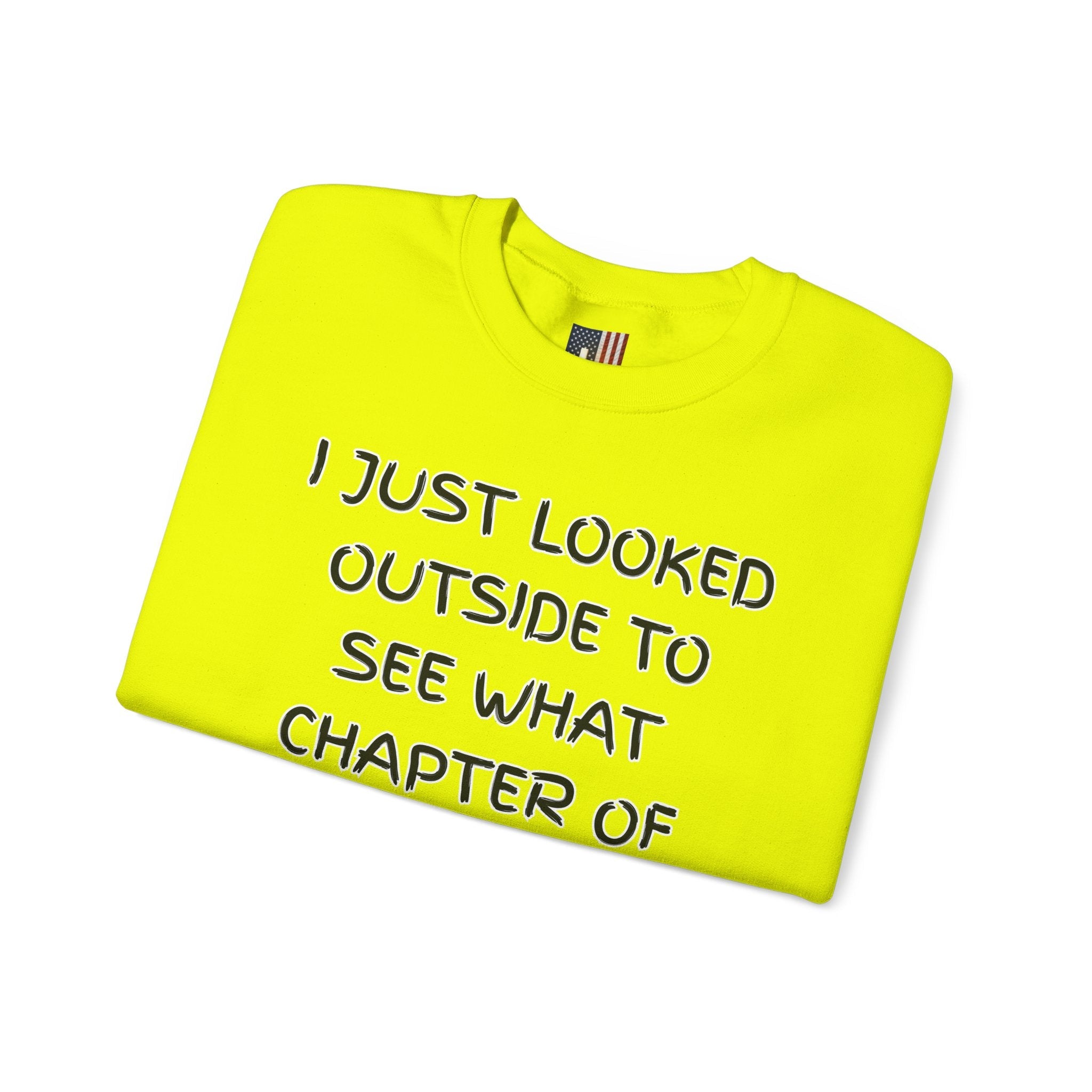 What Chapter of Revelation Sweatshirt – I Looked Outside My Window Christian Sweatshirt for End Times Humor & Faith Printify