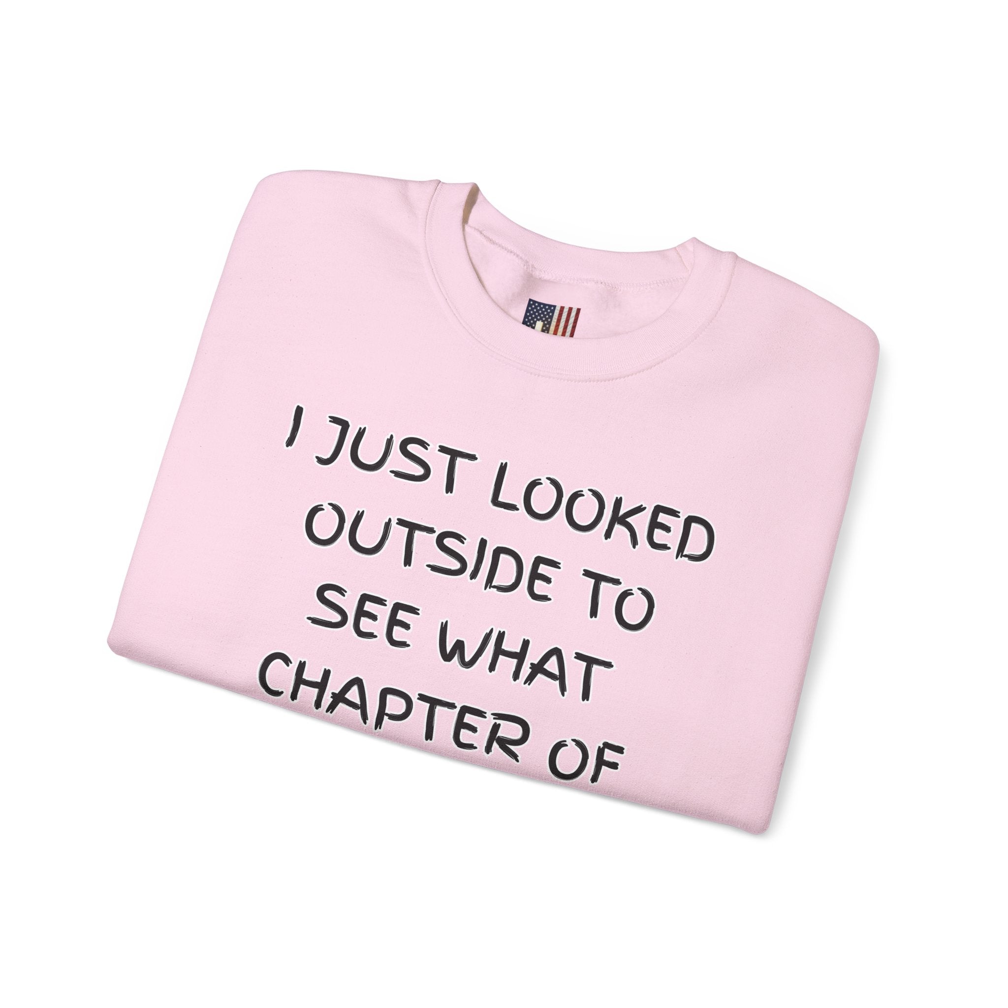 What Chapter of Revelation Sweatshirt – I Looked Outside My Window Christian Sweatshirt for End Times Humor & Faith Printify