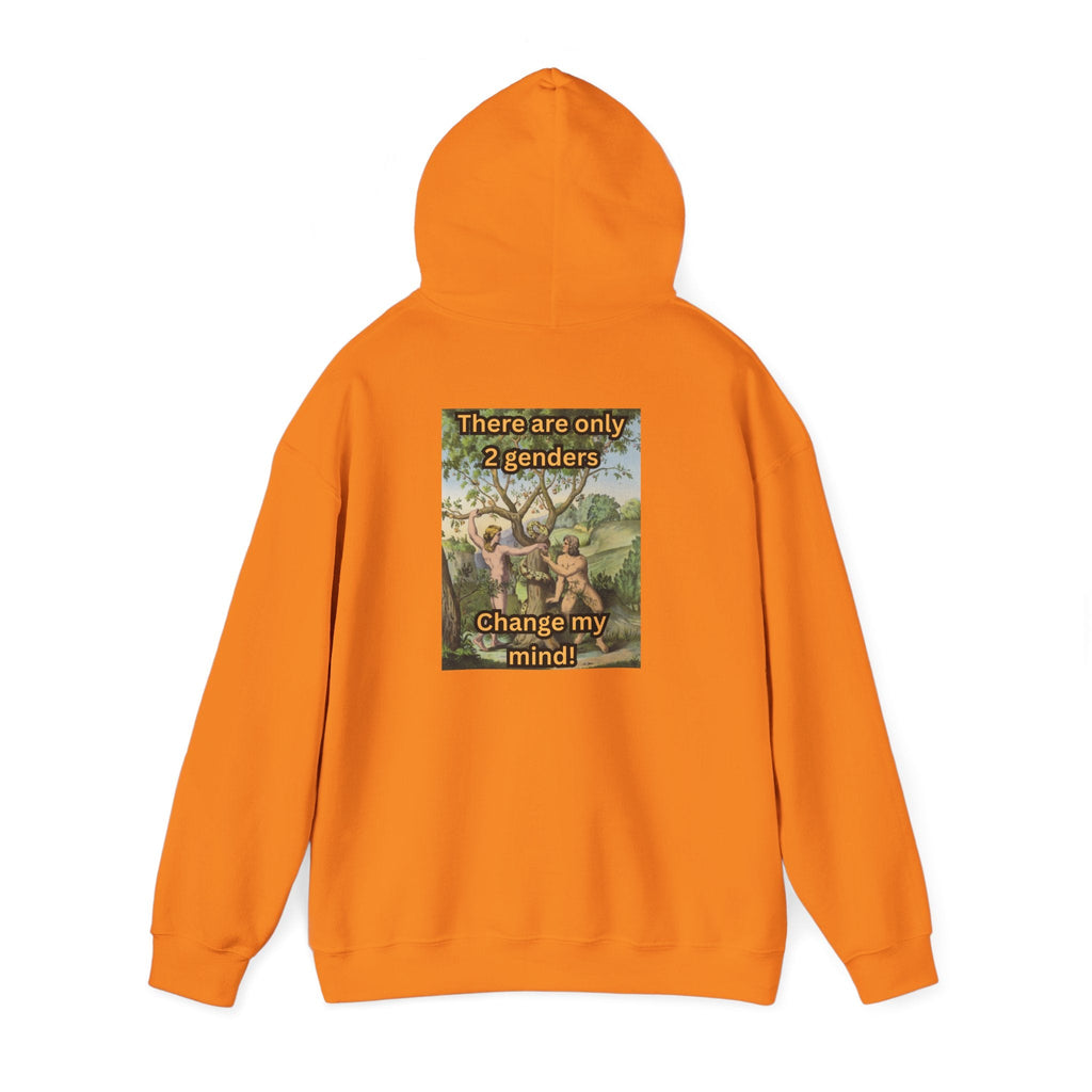 There Are Only 2 Genders Hoodie – Adam & Eve Cross Christian Hoodie for Bold Truth Printify