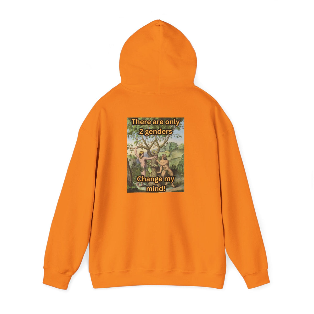 There Are Only 2 Genders Hoodie – Adam & Eve Cross Christian Hoodie for Bold Truth Printify