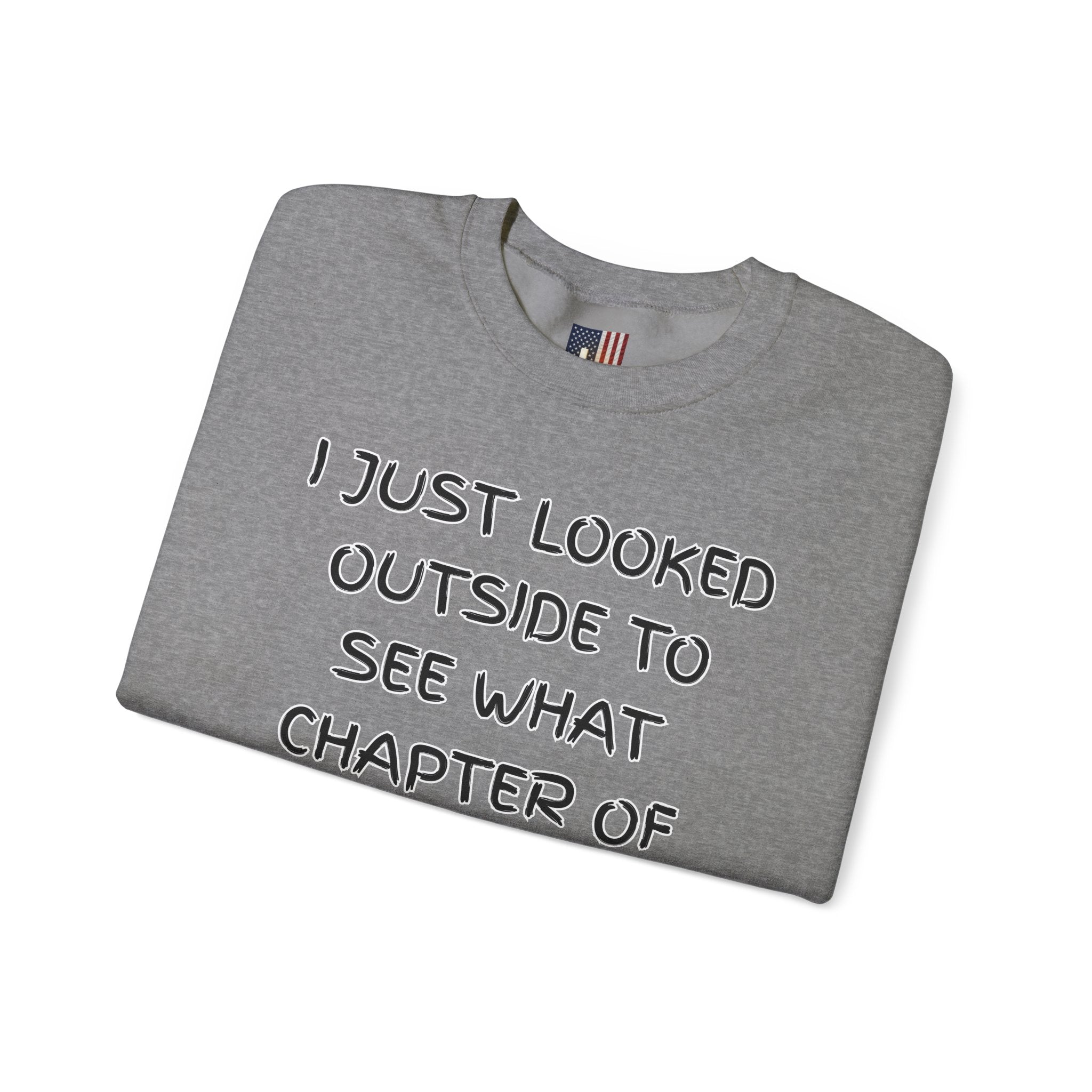 What Chapter of Revelation Sweatshirt – I Looked Outside My Window Christian Sweatshirt for End Times Humor & Faith Printify