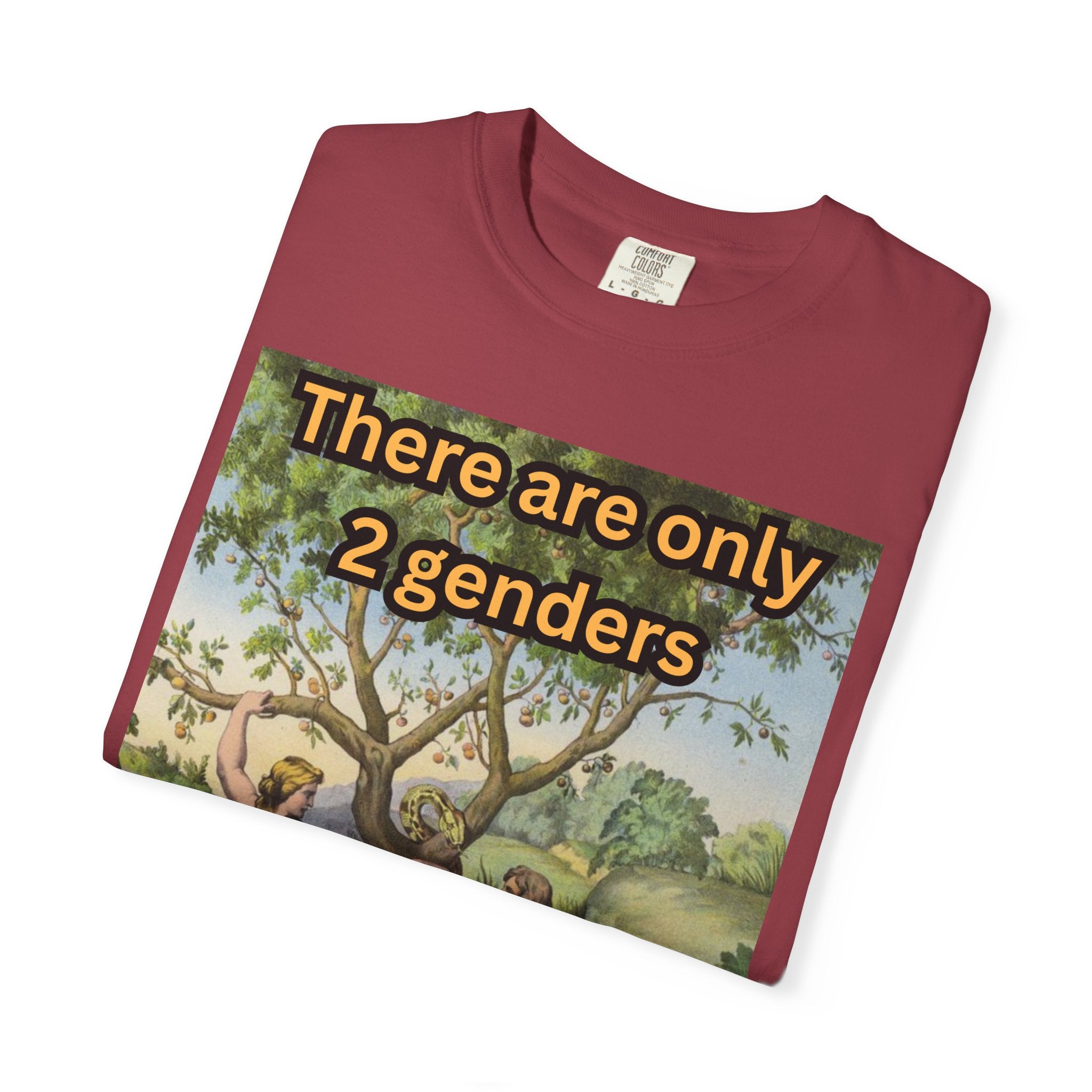 There Are Only 2 Genders T-Shirt – Adam & Eve Cross Christian Tee for Bold Faith Printify