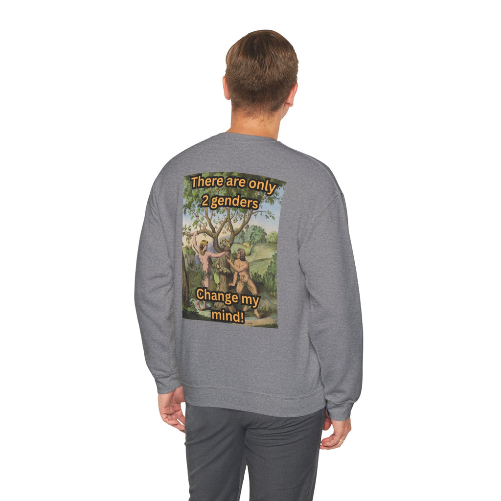 There Are Only 2 Genders Sweatshirt – Adam & Eve Cross Christian Hoodie for Bold Truth Printify