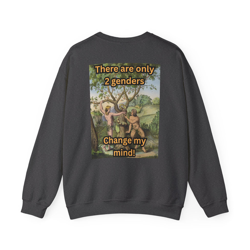 There Are Only 2 Genders Sweatshirt – Adam & Eve Cross Christian Hoodie for Bold Truth Printify