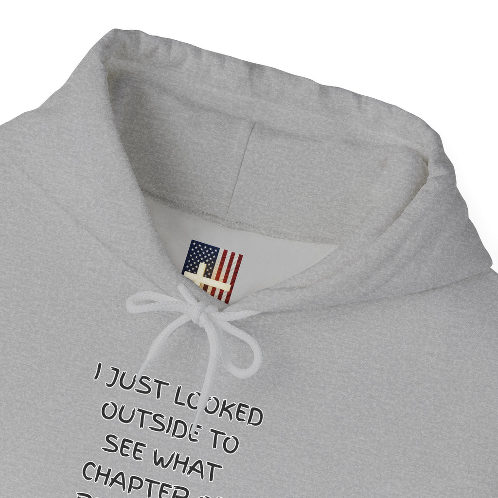 What Chapter of Revelation Hoodie – I Looked Outside My Window Christian Sweatshirt for End Times Humor & Faith Printify