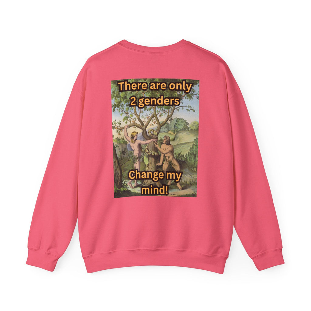 There Are Only 2 Genders Sweatshirt – Adam & Eve Cross Christian Hoodie for Bold Truth Printify