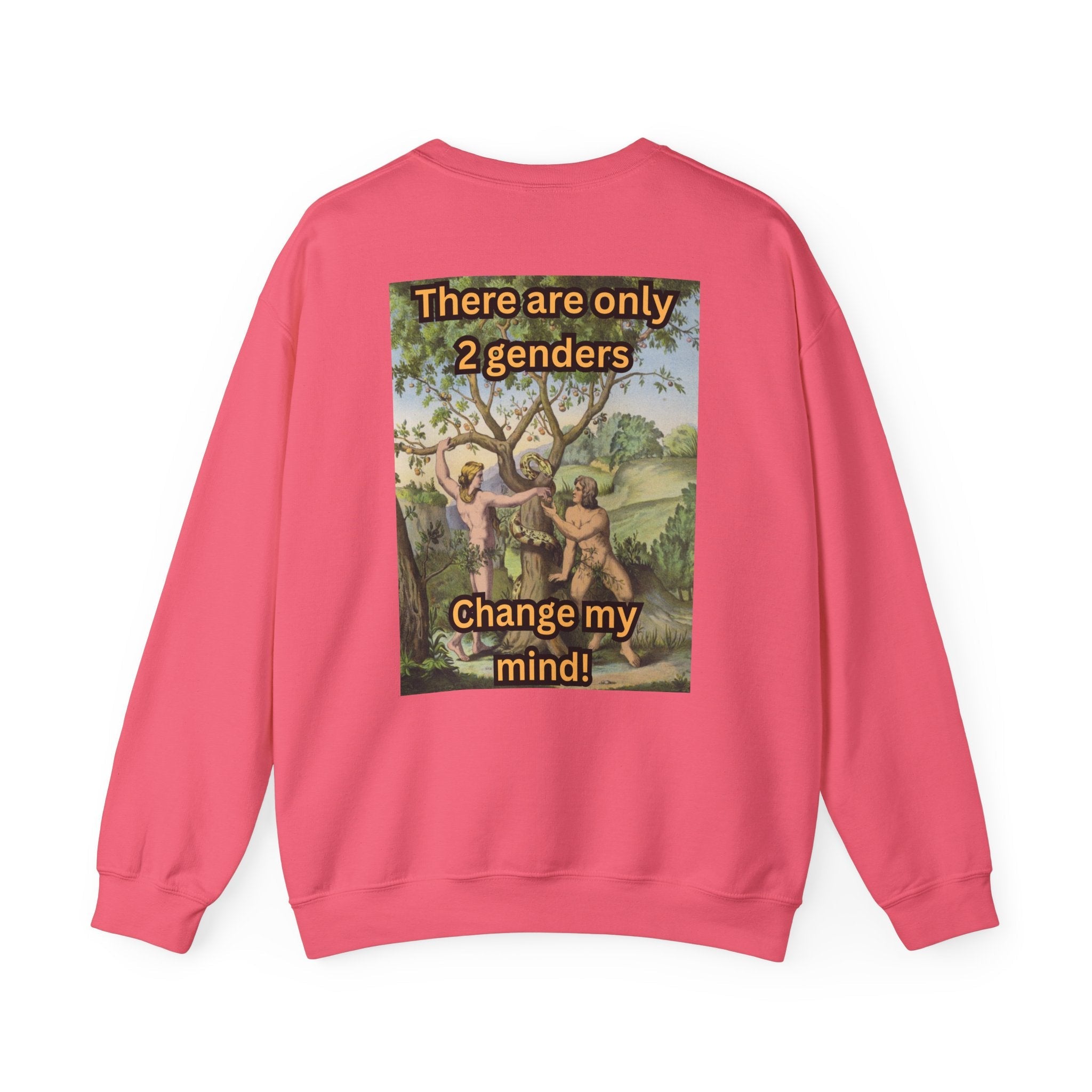 There Are Only 2 Genders Sweatshirt – Adam & Eve Cross Christian Hoodie for Bold Truth Printify
