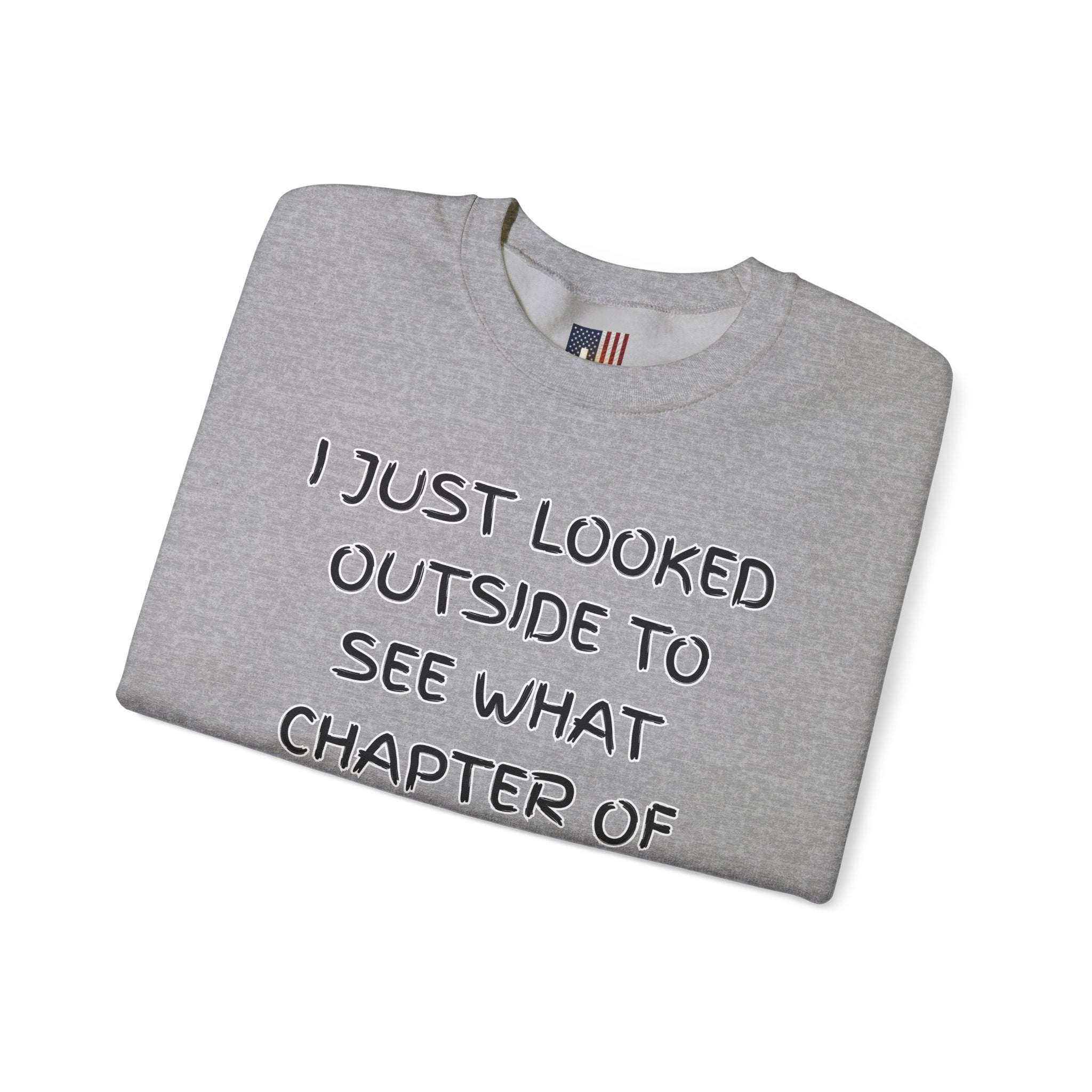 What Chapter of Revelation Sweatshirt – I Looked Outside My Window Christian Sweatshirt for End Times Humor & Faith Printify