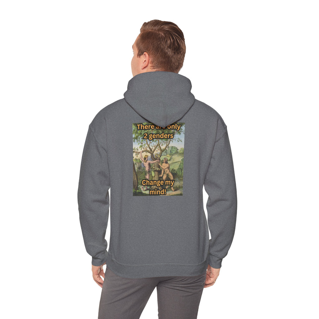 There Are Only 2 Genders Hoodie – Adam & Eve Cross Christian Hoodie for Bold Truth Printify