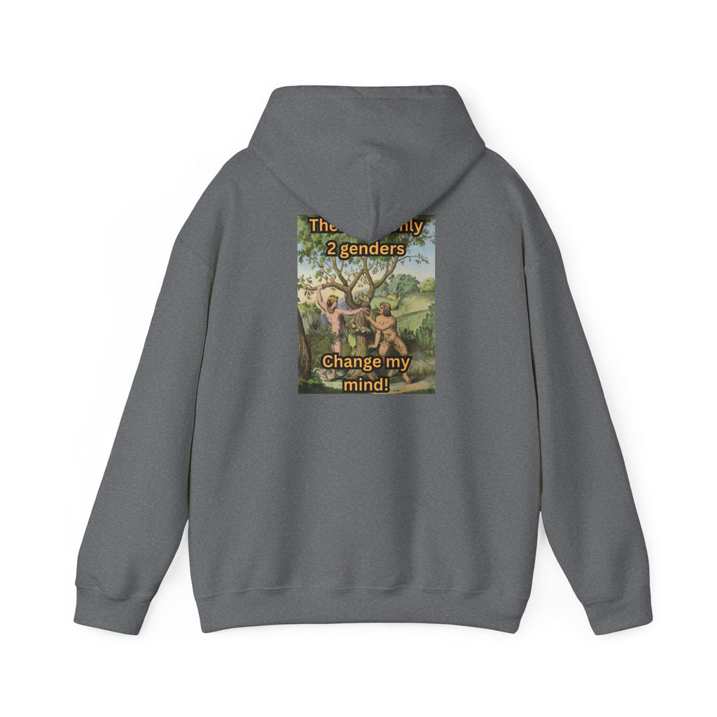 There Are Only 2 Genders Hoodie – Adam & Eve Cross Christian Hoodie for Bold Truth Printify