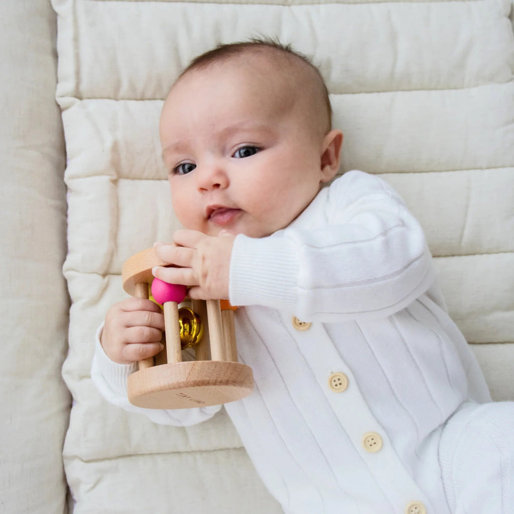 Tiny Land® Montessori Toys for Newborns (0–3 Months) Tiny Land INC