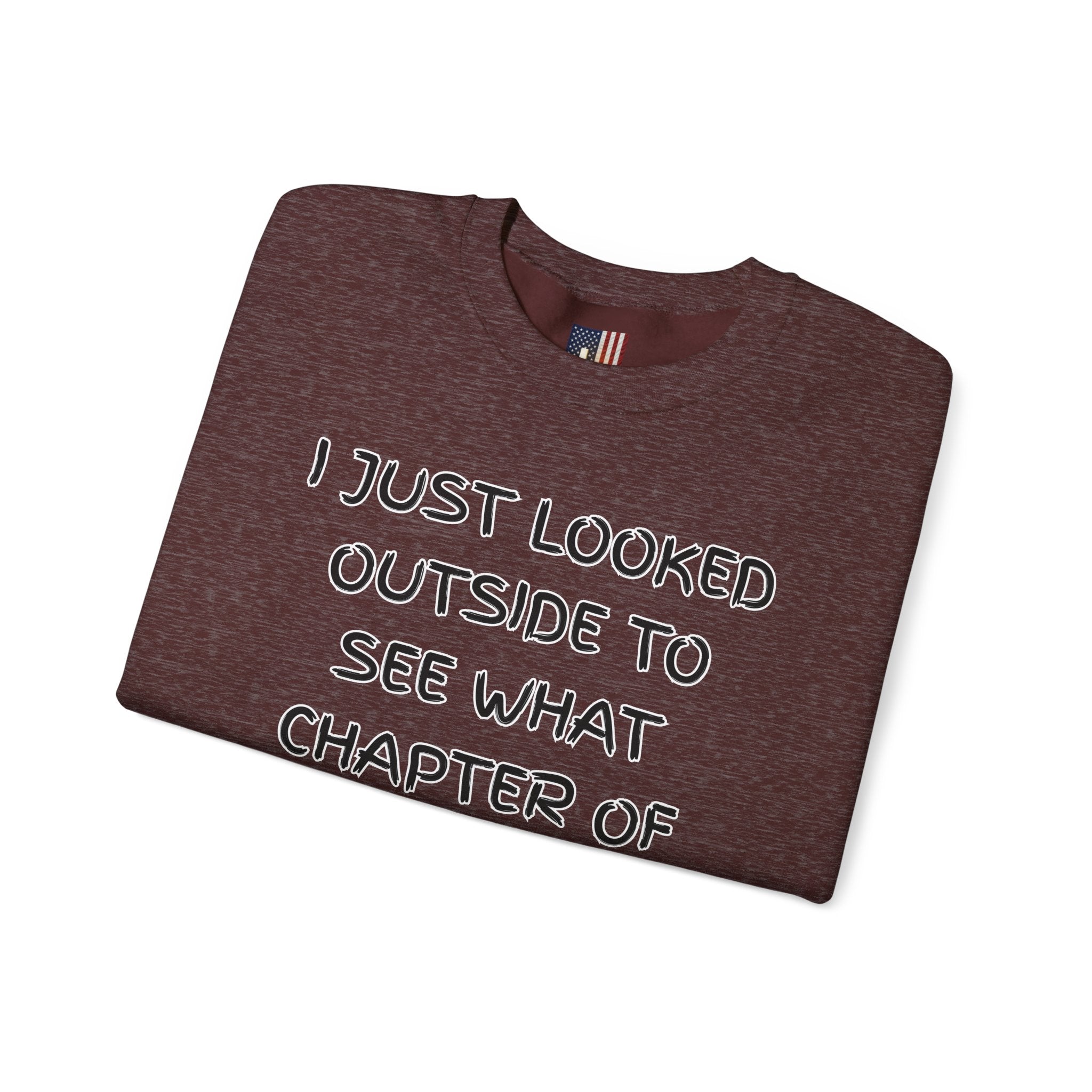 What Chapter of Revelation Sweatshirt – I Looked Outside My Window Christian Sweatshirt for End Times Humor & Faith Printify