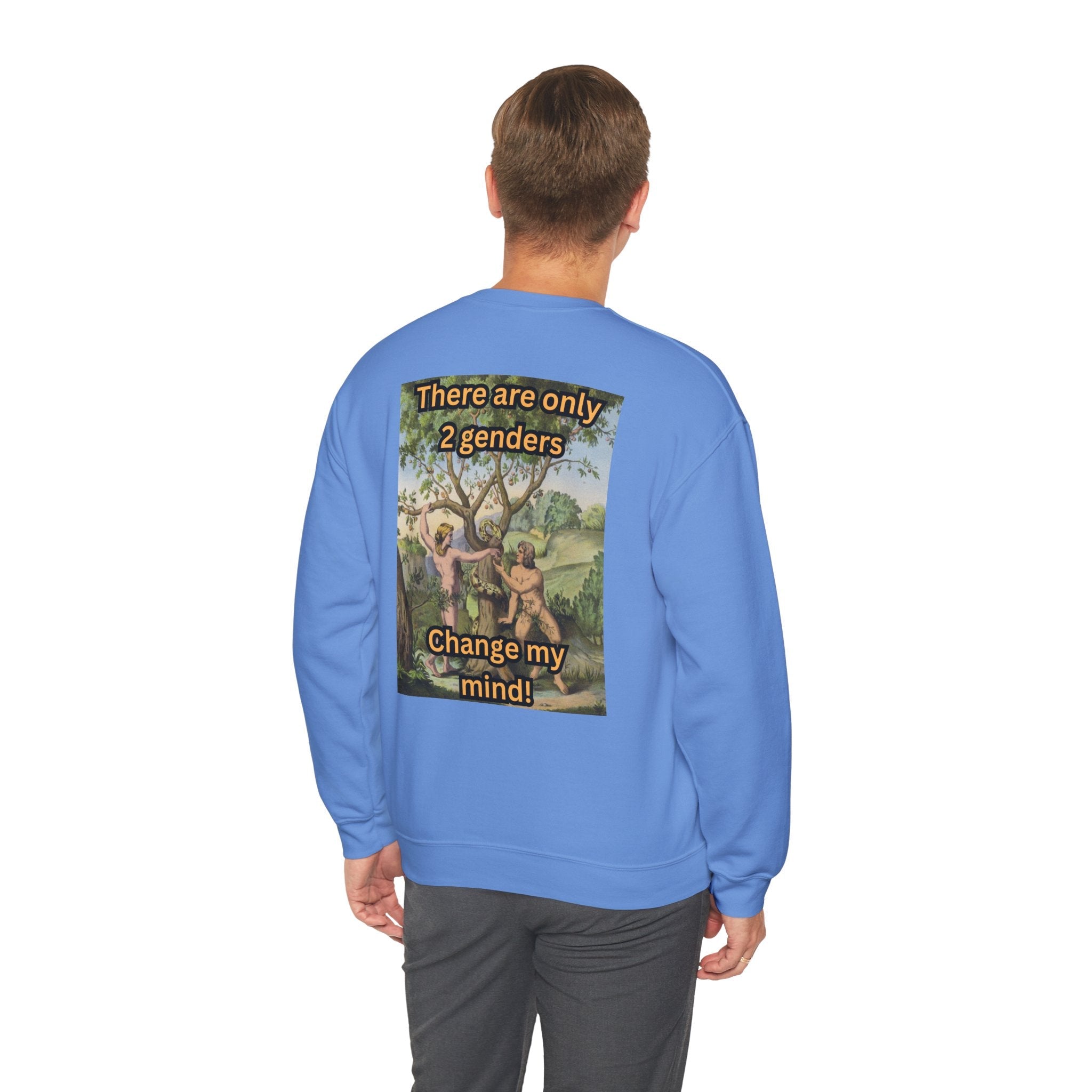 There Are Only 2 Genders Sweatshirt – Adam & Eve Cross Christian Hoodie for Bold Truth Printify