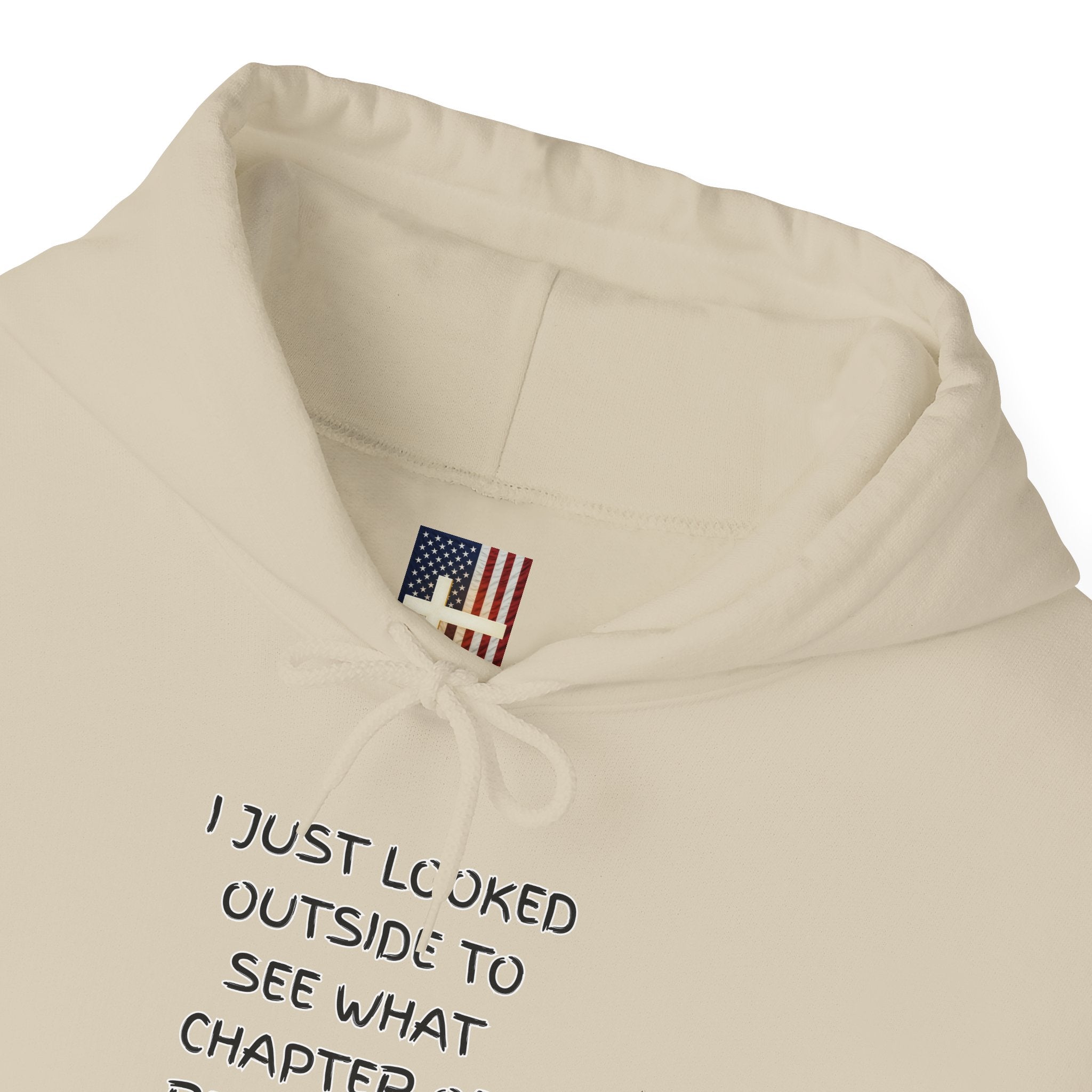 What Chapter of Revelation Hoodie – I Looked Outside My Window Christian Sweatshirt for End Times Humor & Faith Printify
