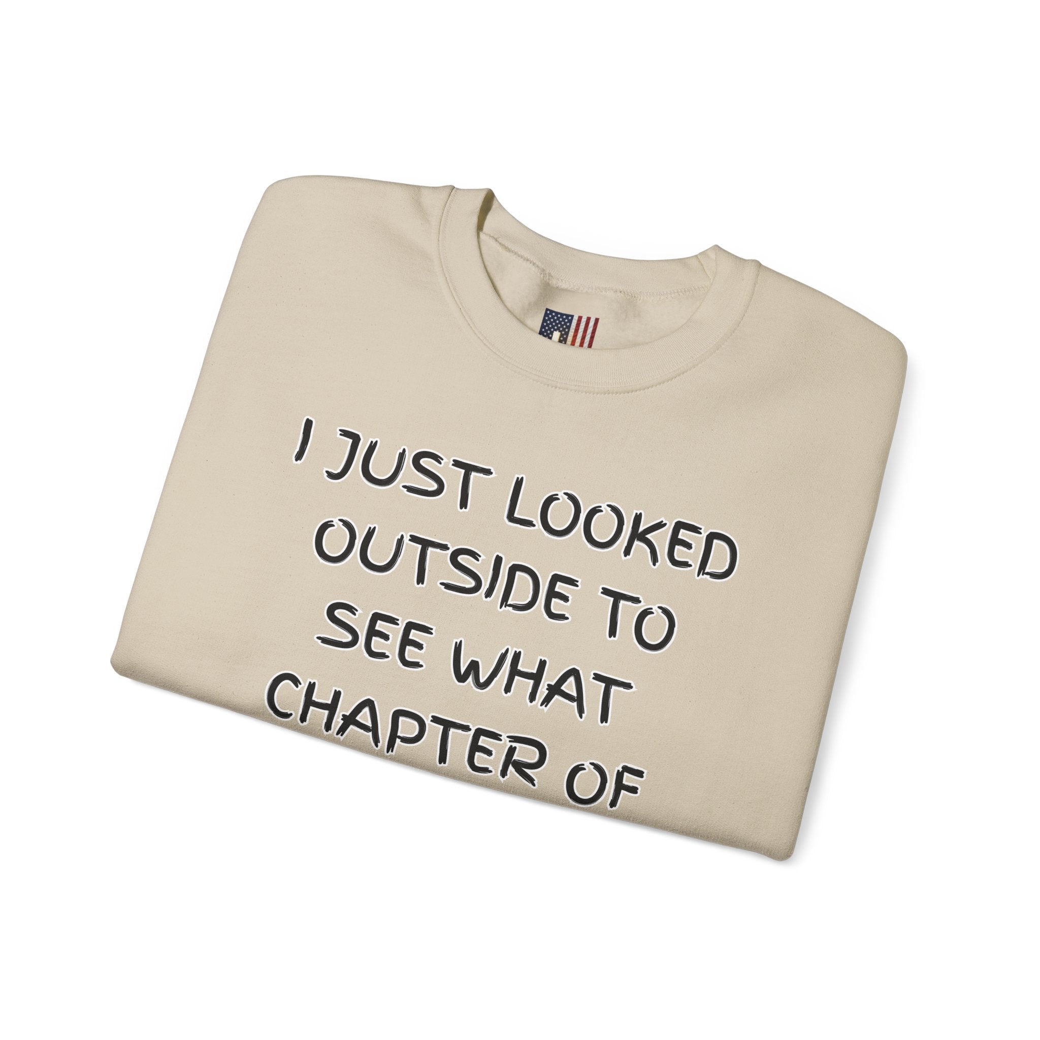 What Chapter of Revelation Sweatshirt – I Looked Outside My Window Christian Sweatshirt for End Times Humor & Faith Printify