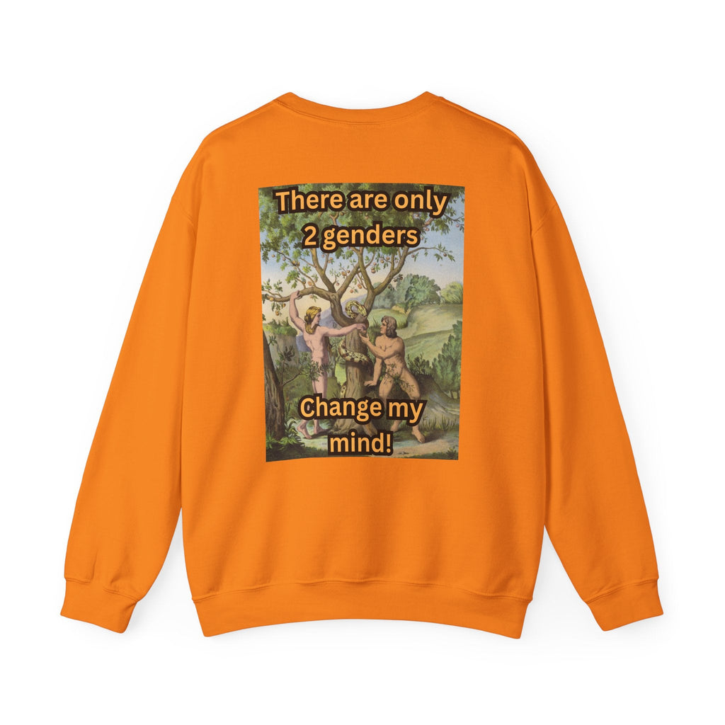 There Are Only 2 Genders Sweatshirt – Adam & Eve Cross Christian Hoodie for Bold Truth Printify