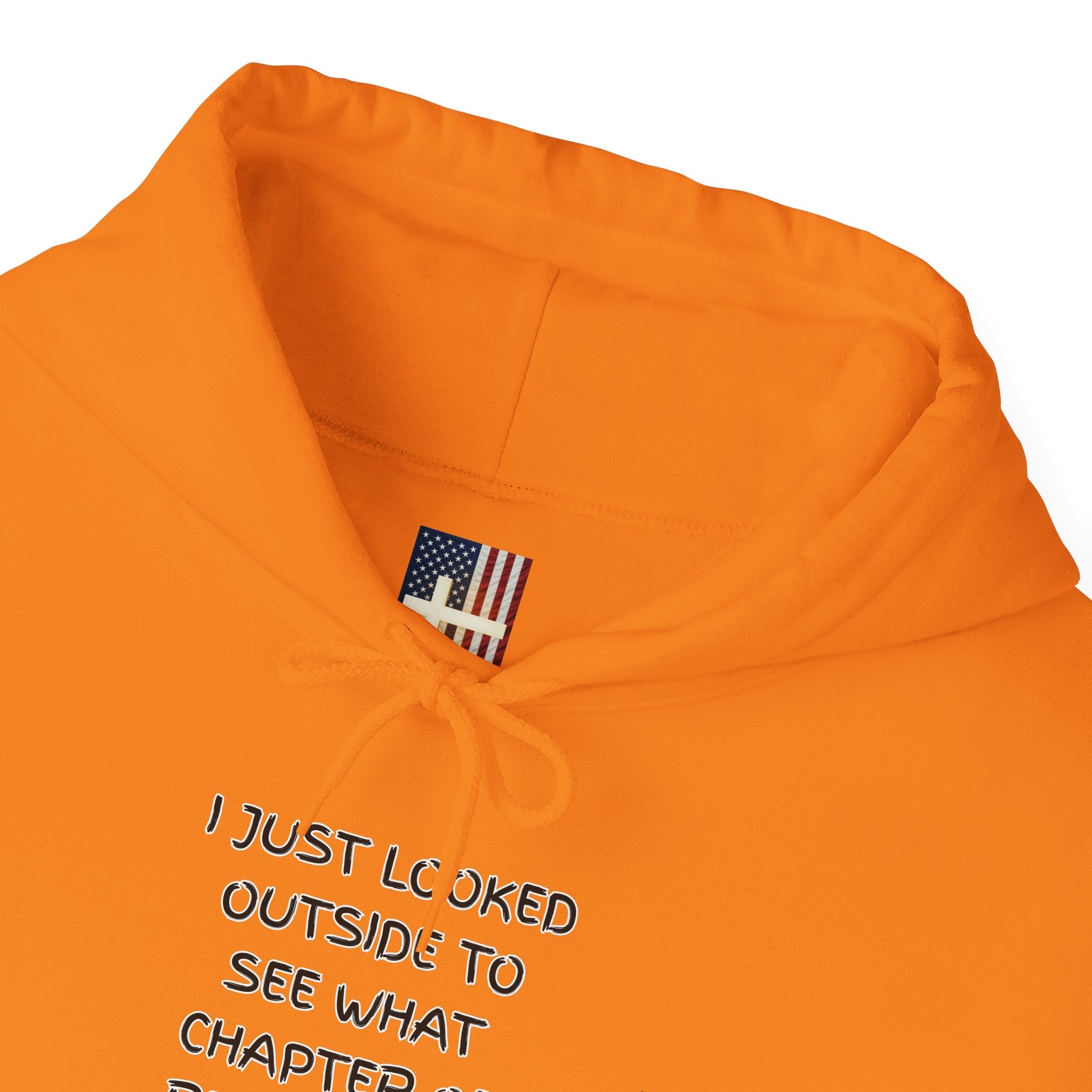What Chapter of Revelation Hoodie – I Looked Outside My Window Christian Sweatshirt for End Times Humor & Faith Printify