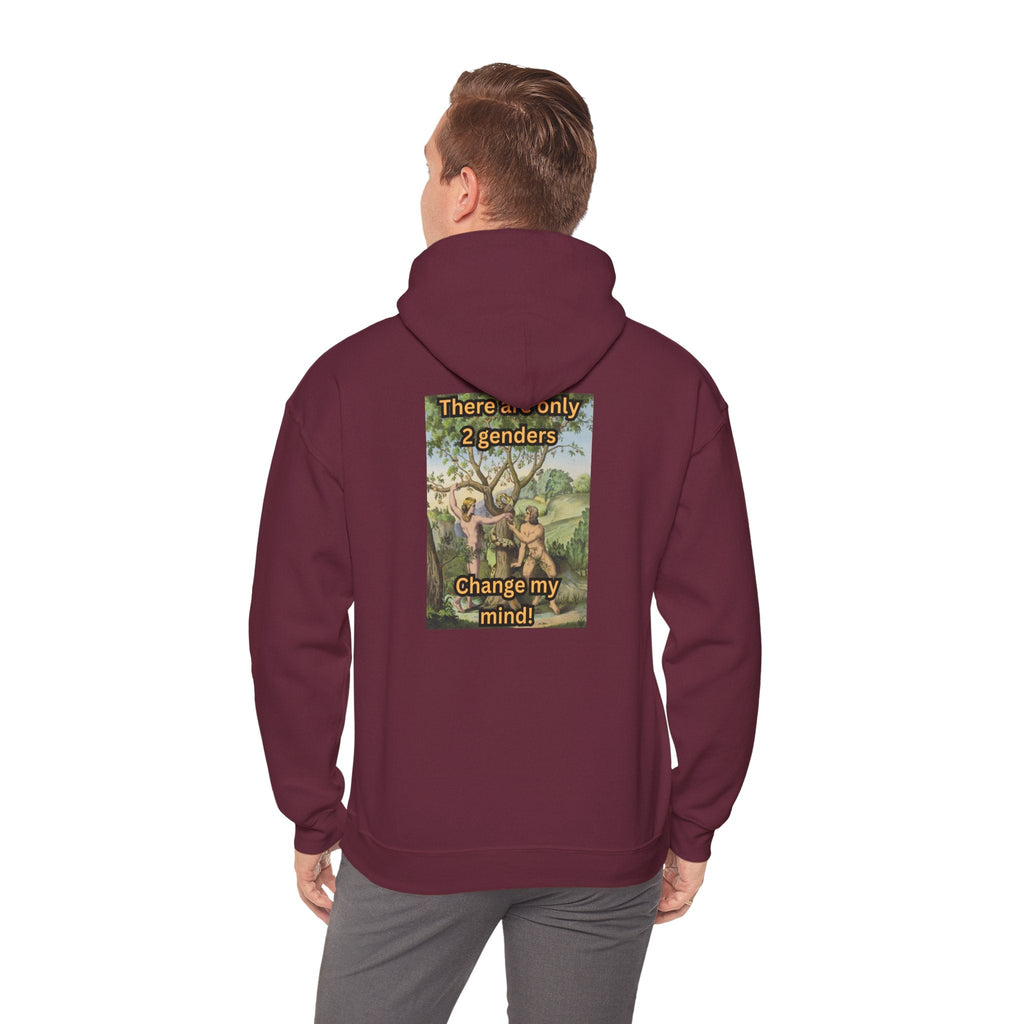 There Are Only 2 Genders Hoodie – Adam & Eve Cross Christian Hoodie for Bold Truth Printify