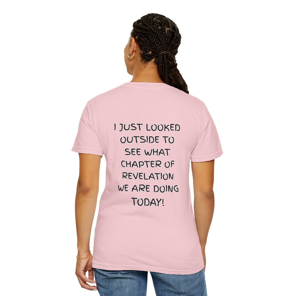 What Chapter of Revelation T-shirt – I Looked Outside My Window Christian T-shirt for End Times Humor & Faith Printify