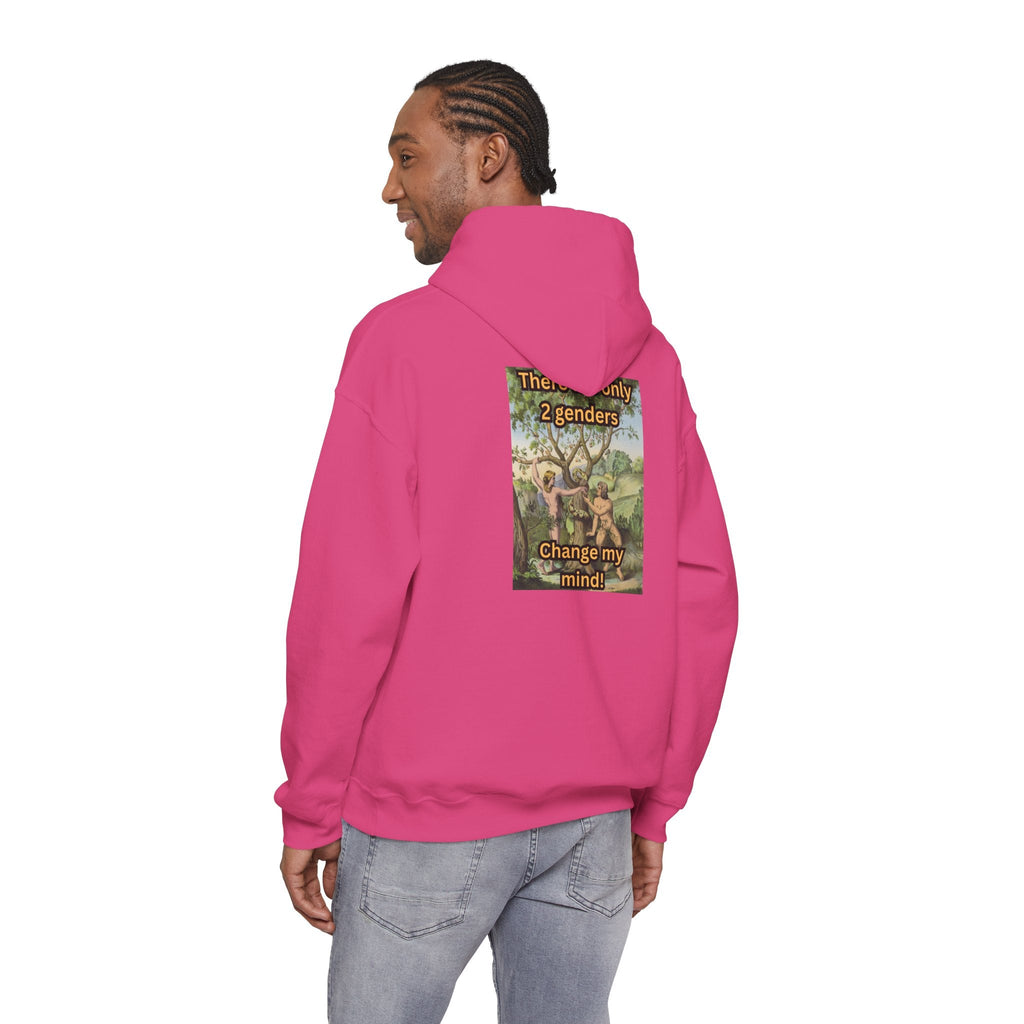 There Are Only 2 Genders Hoodie – Adam & Eve Cross Christian Hoodie for Bold Truth Printify
