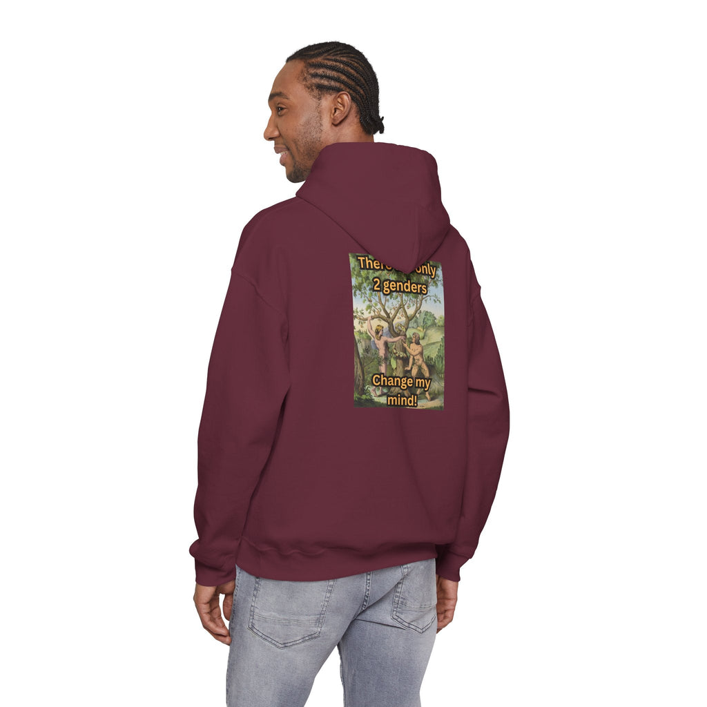 There Are Only 2 Genders Hoodie – Adam & Eve Cross Christian Hoodie for Bold Truth Printify