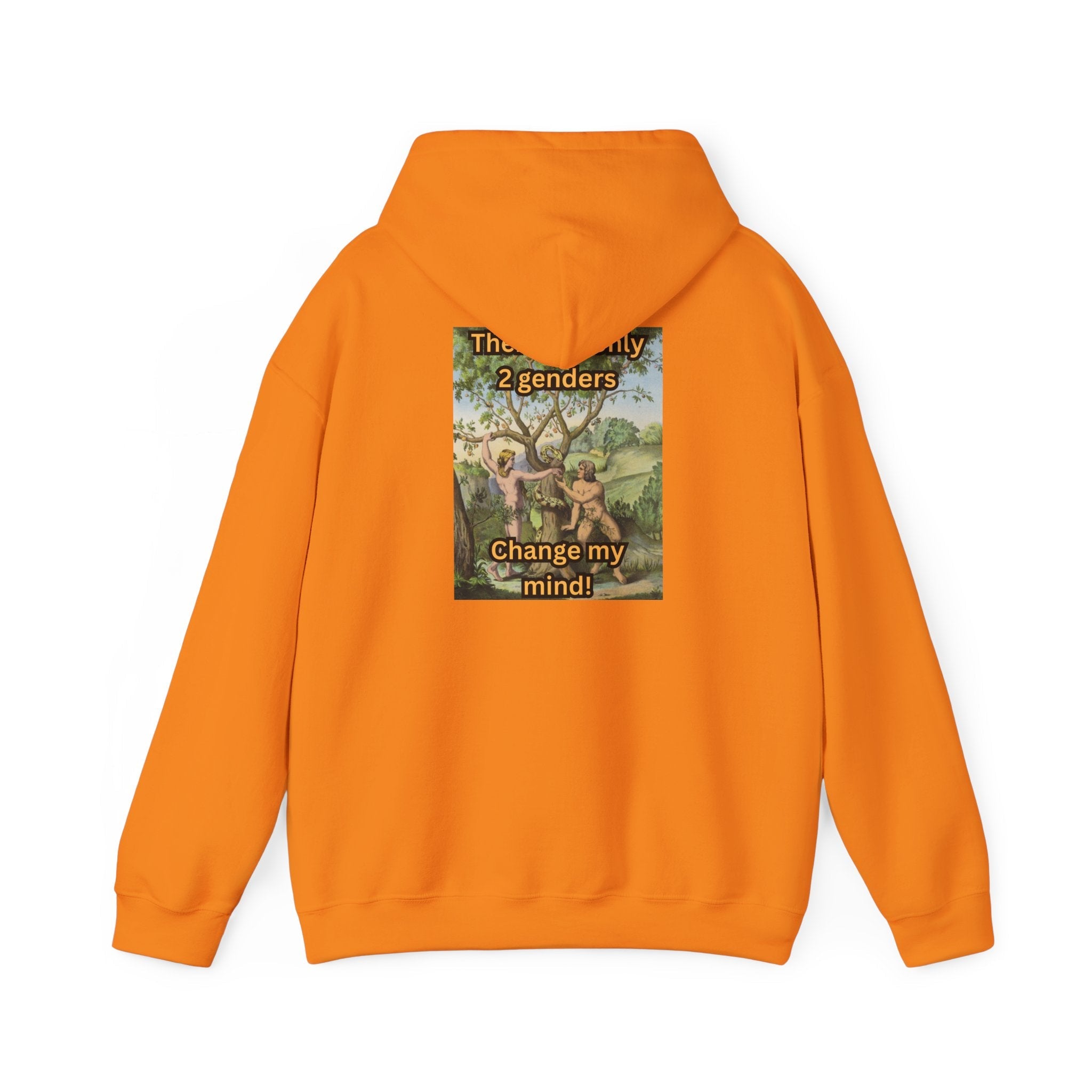 There Are Only 2 Genders Hoodie – Adam & Eve Cross Christian Hoodie for Bold Truth Printify