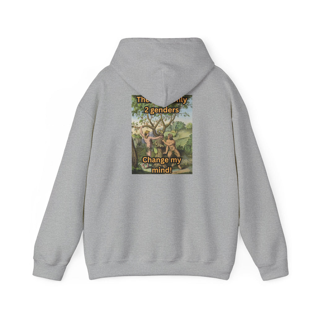 There Are Only 2 Genders Hoodie – Adam & Eve Cross Christian Hoodie for Bold Truth Printify