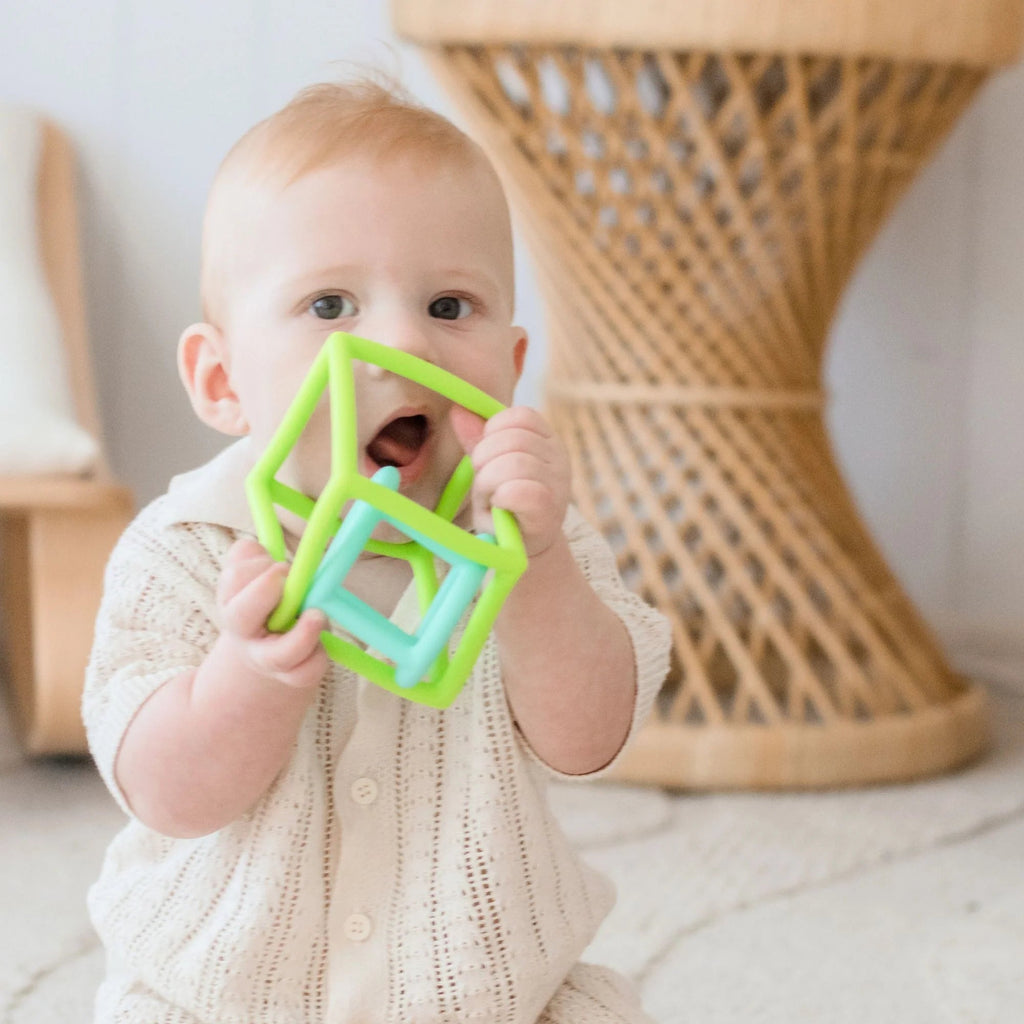 Tiny Land® Montessori Toys for Newborns (4–6 Months) Tiny Land INC