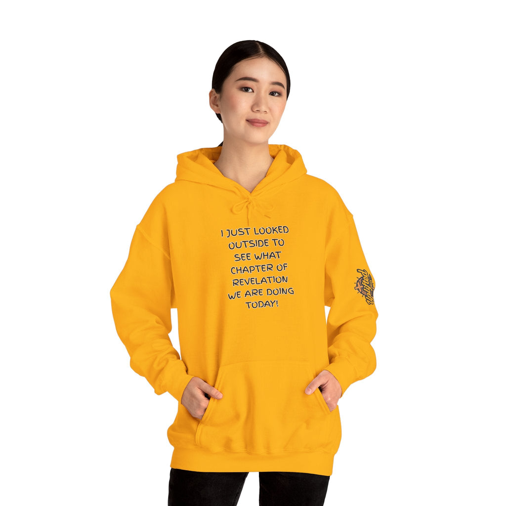 What Chapter of Revelation Hoodie – I Looked Outside My Window Christian Sweatshirt for End Times Humor & Faith Printify