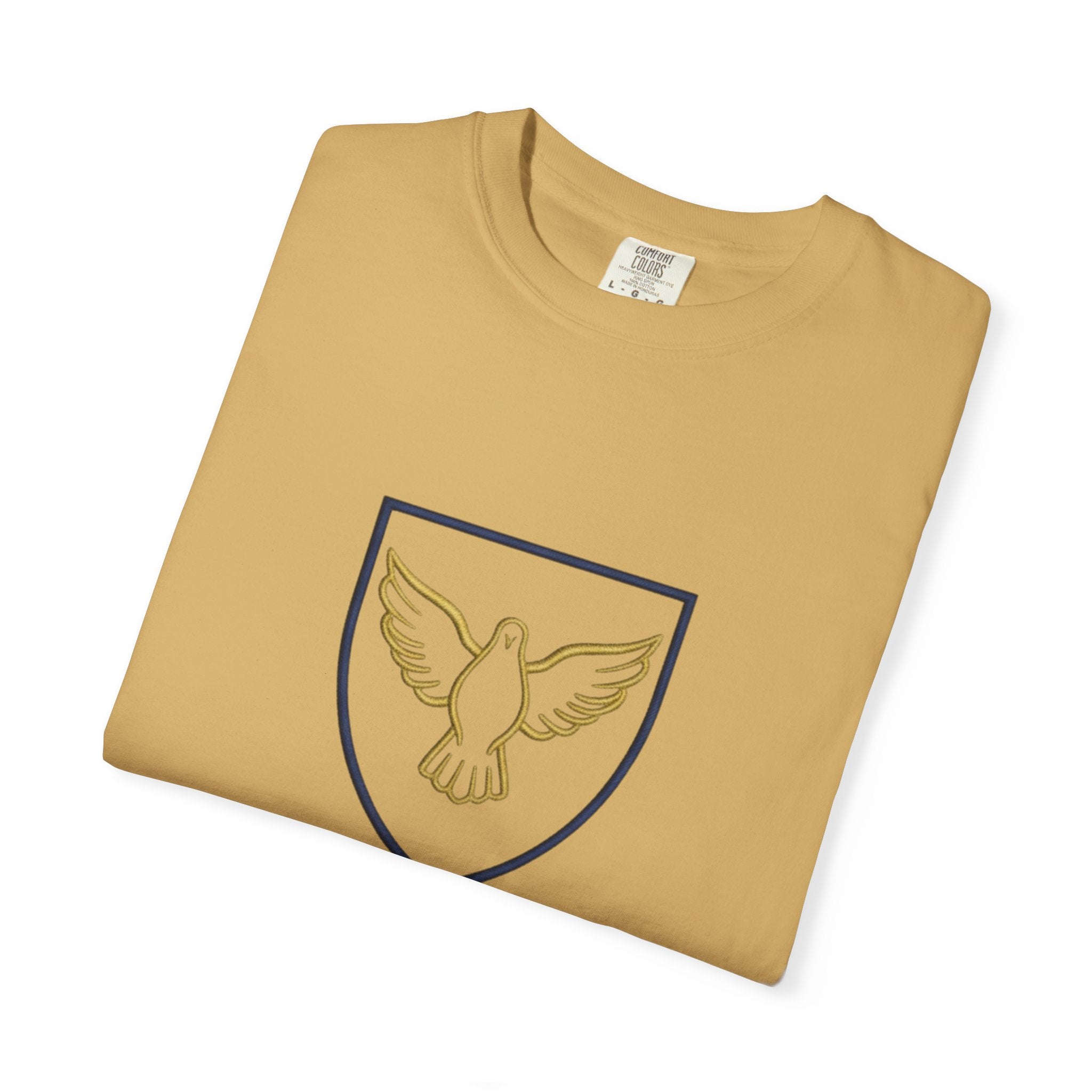 Ambassador for Christ T-Shirt – Established 33 AD Christian Tee for Bold Faith Printify