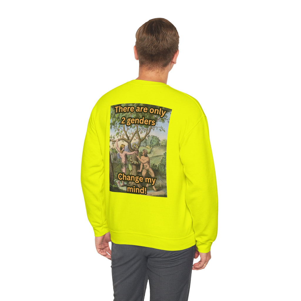 There Are Only 2 Genders Sweatshirt – Adam & Eve Cross Christian Hoodie for Bold Truth Printify