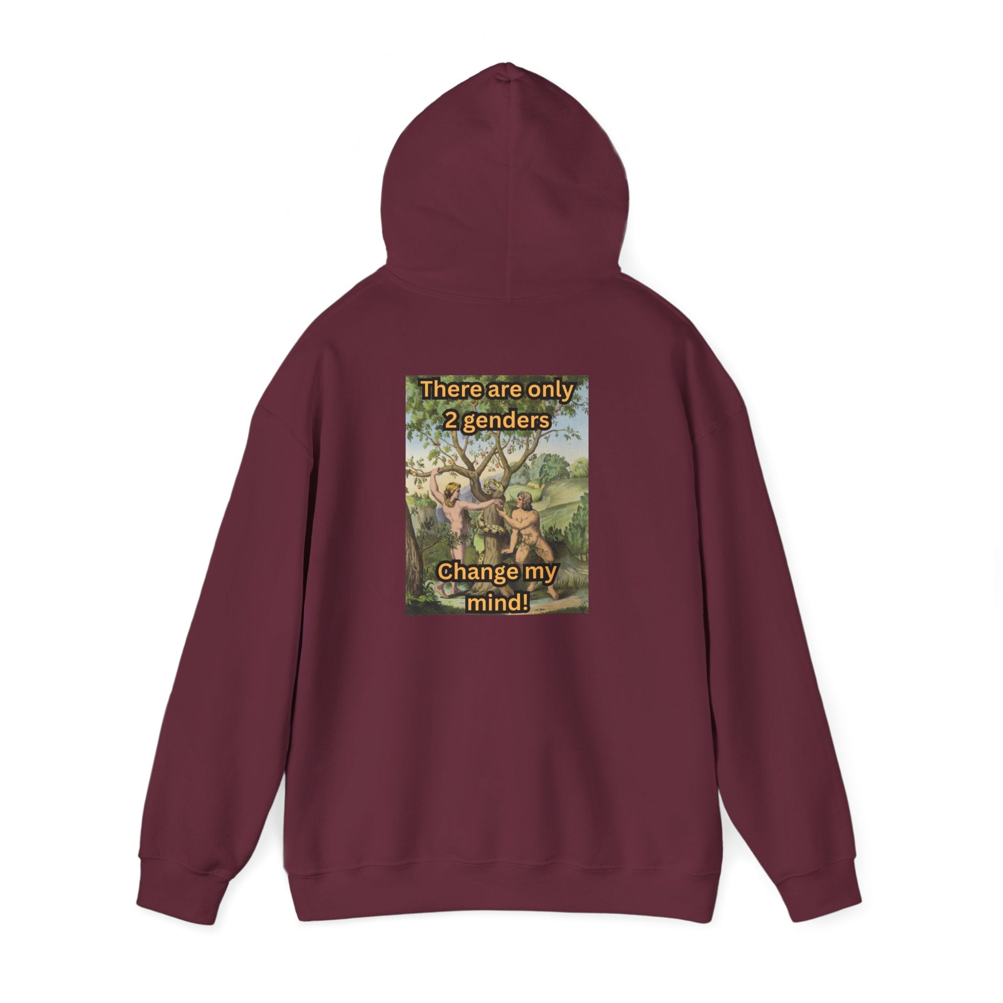 There Are Only 2 Genders Hoodie – Adam & Eve Cross Christian Hoodie for Bold Truth Printify