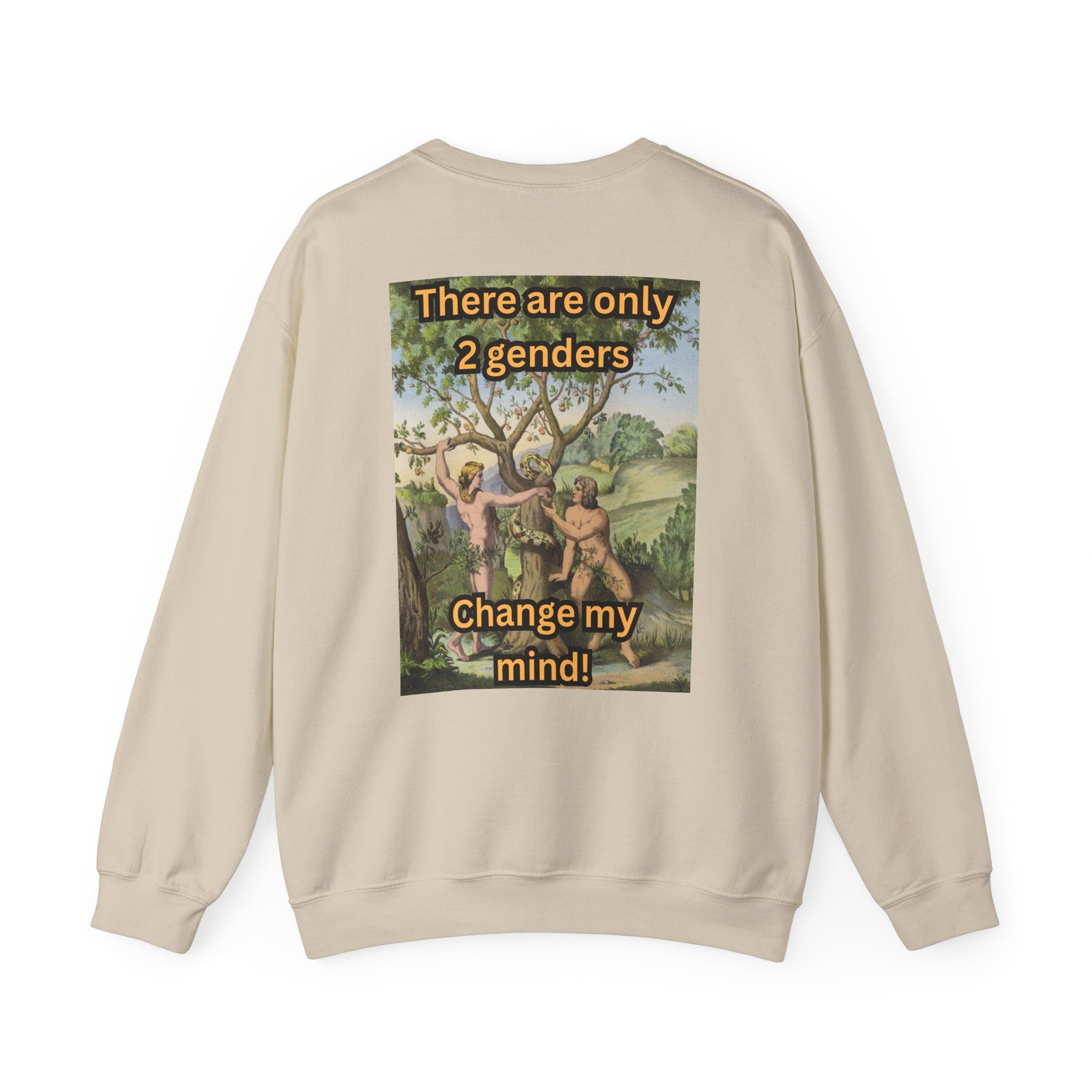 There Are Only 2 Genders Sweatshirt – Adam & Eve Cross Christian Hoodie for Bold Truth Printify