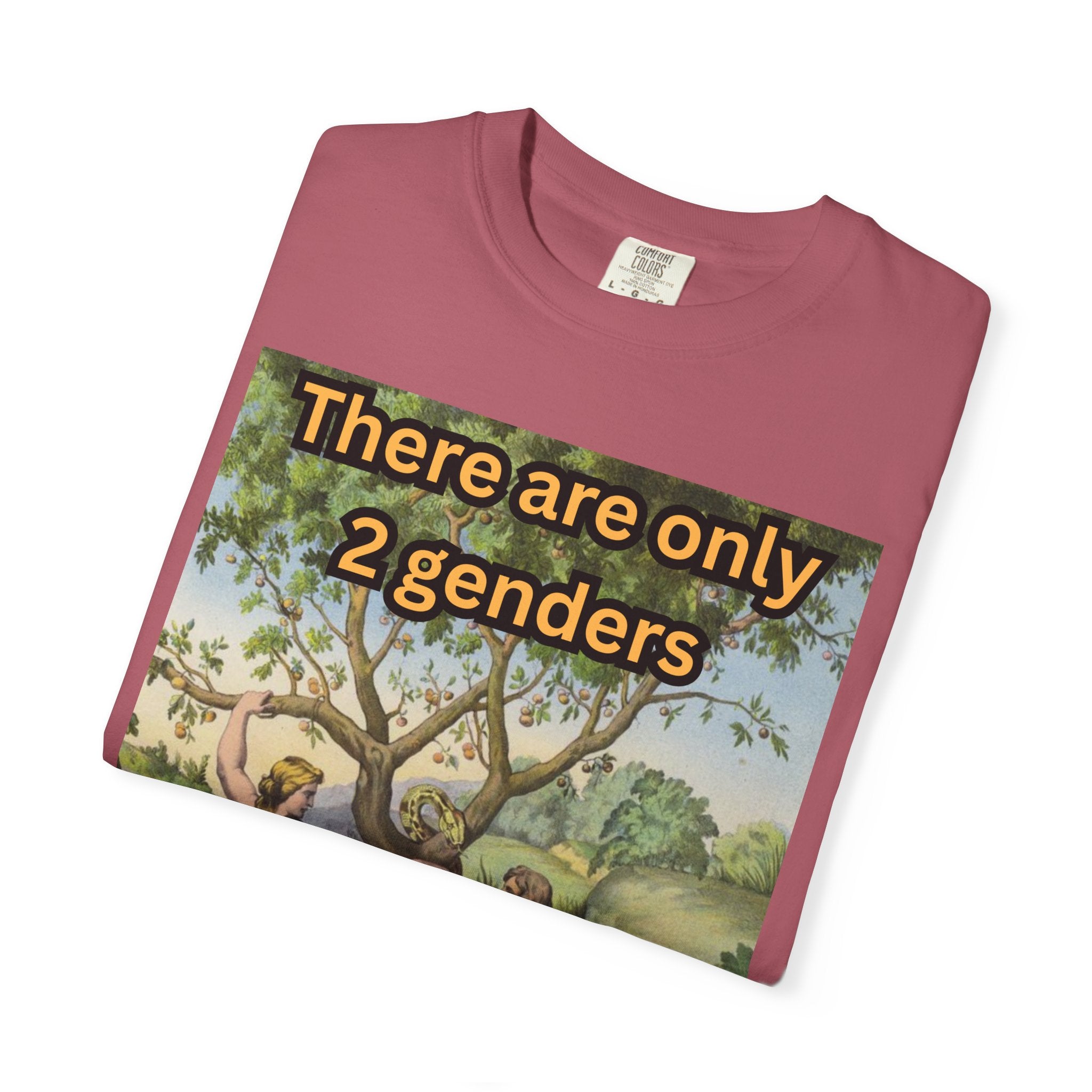 There Are Only 2 Genders T-Shirt – Adam & Eve Cross Christian Tee for Bold Faith Printify