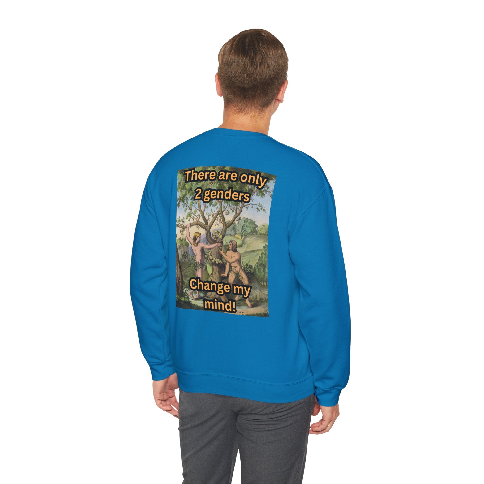 There Are Only 2 Genders Sweatshirt – Adam & Eve Cross Christian Hoodie for Bold Truth Printify