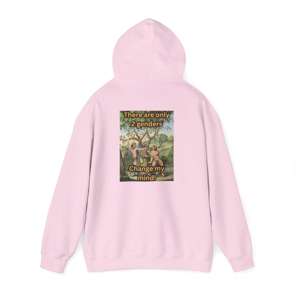 There Are Only 2 Genders Hoodie – Adam & Eve Cross Christian Hoodie for Bold Truth Printify