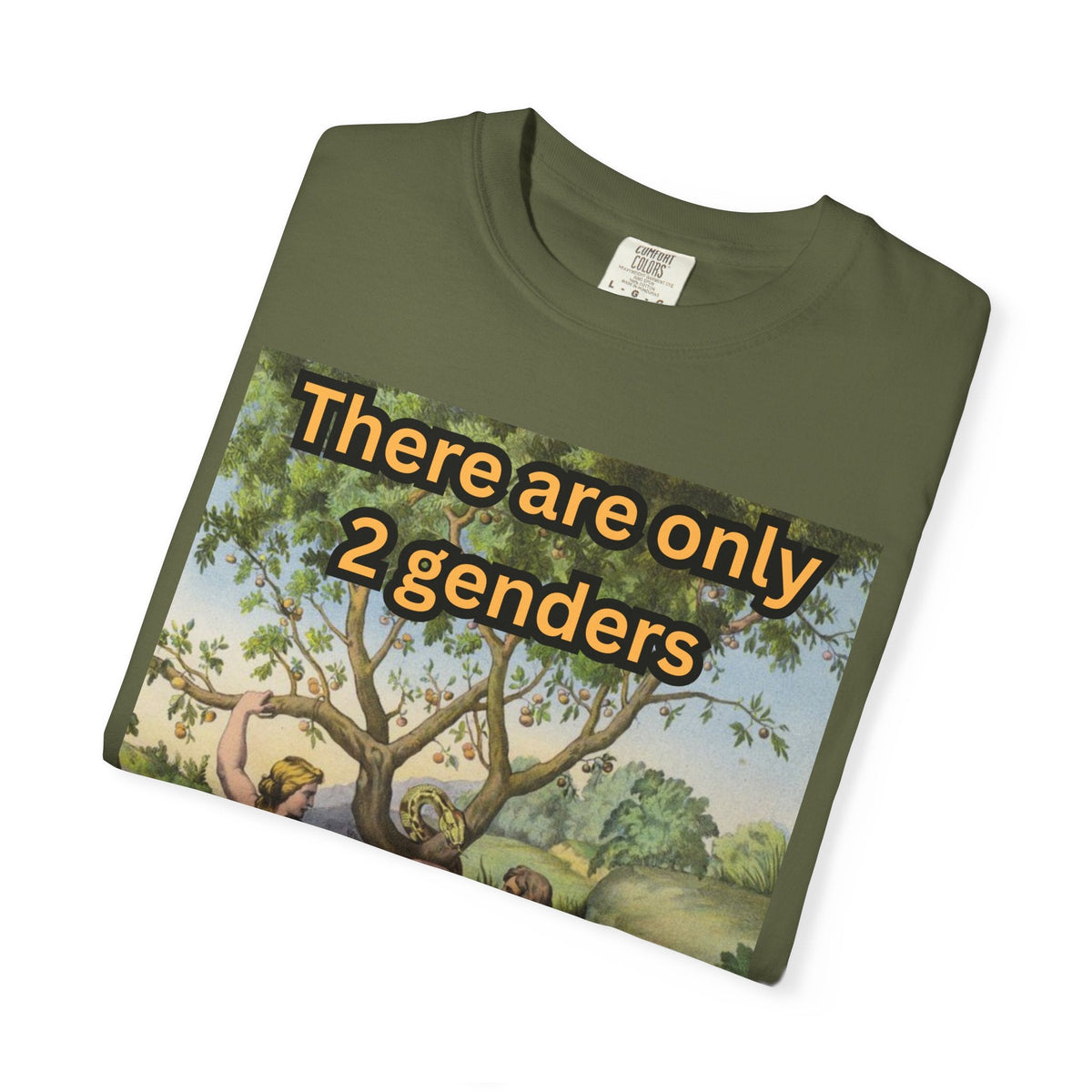 There Are Only 2 Genders T-Shirt – Adam & Eve Cross Christian Tee for Bold Faith Printify