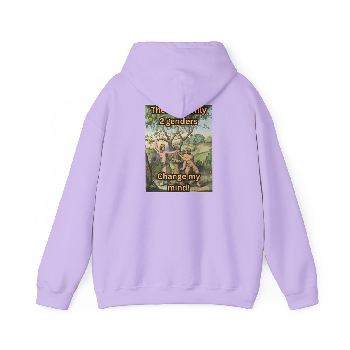 There Are Only 2 Genders Hoodie – Adam & Eve Cross Christian Hoodie for Bold Truth Printify