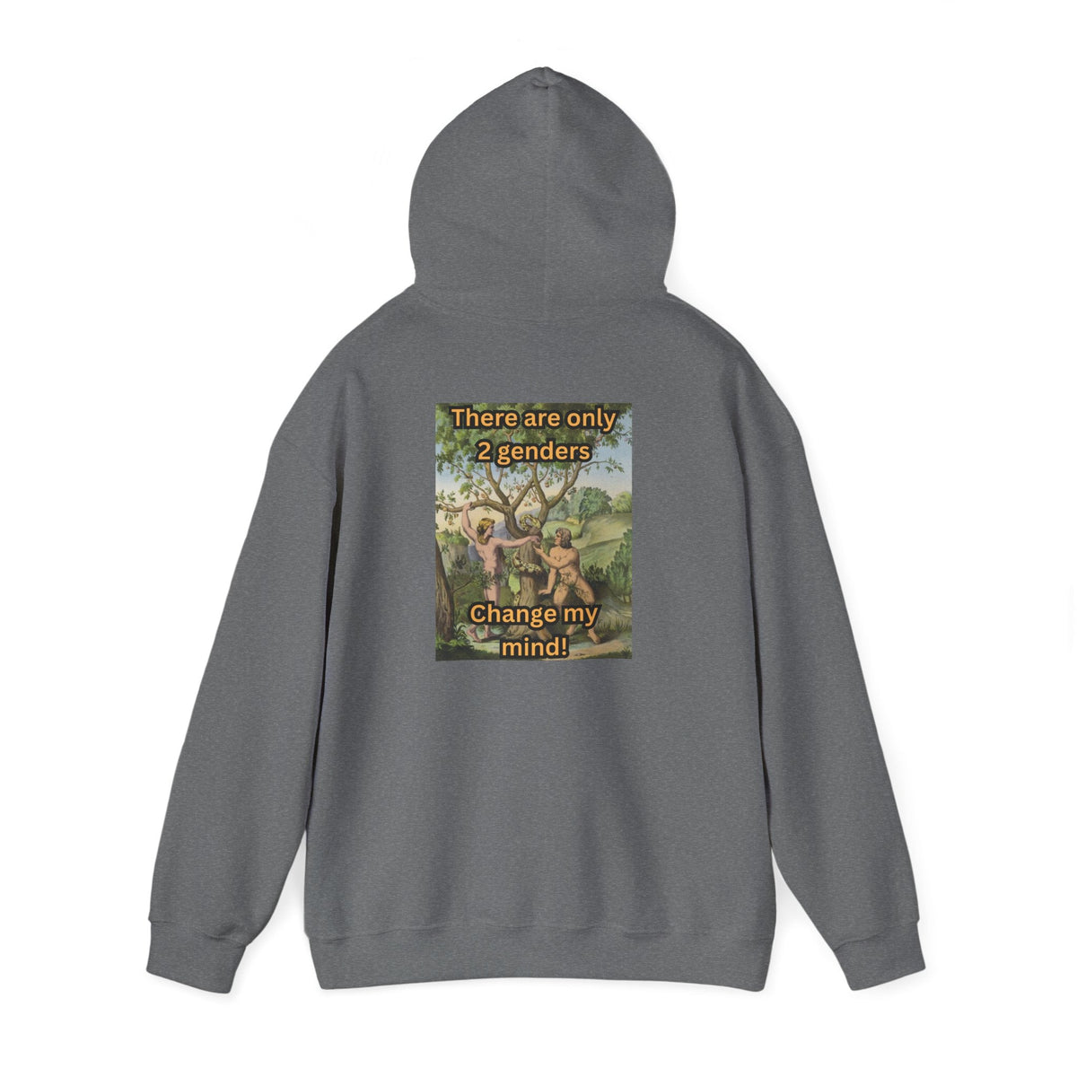 There Are Only 2 Genders Hoodie – Adam & Eve Cross Christian Hoodie for Bold Truth Printify