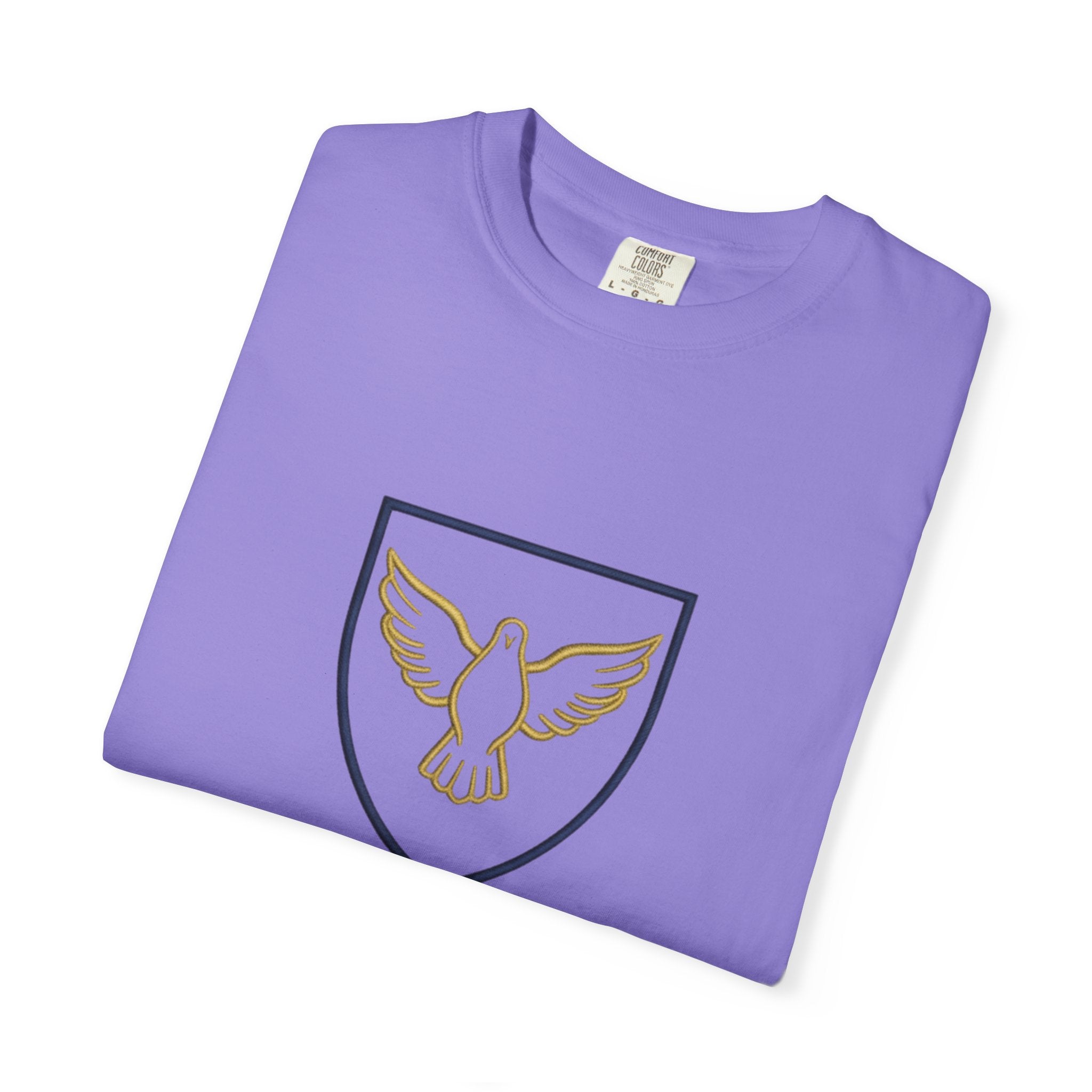 Ambassador for Christ T-Shirt – Established 33 AD Christian Tee for Bold Faith Printify